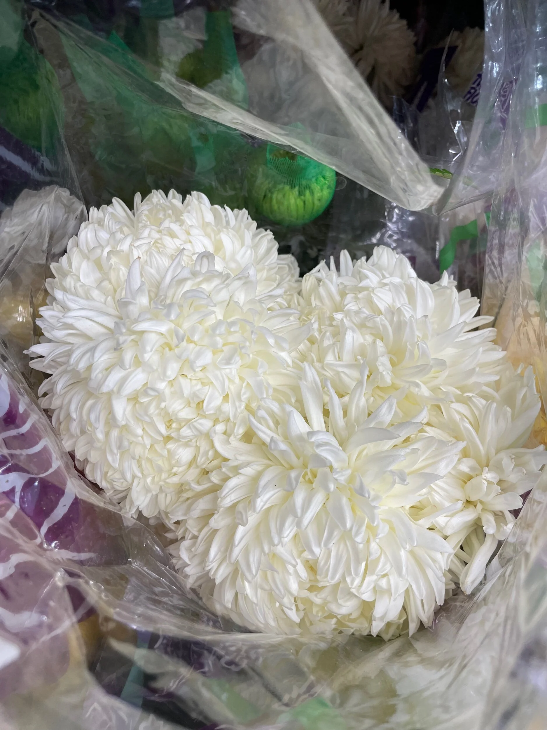 169EFB5D-FD8E-4263-9C77-259DF66FC413