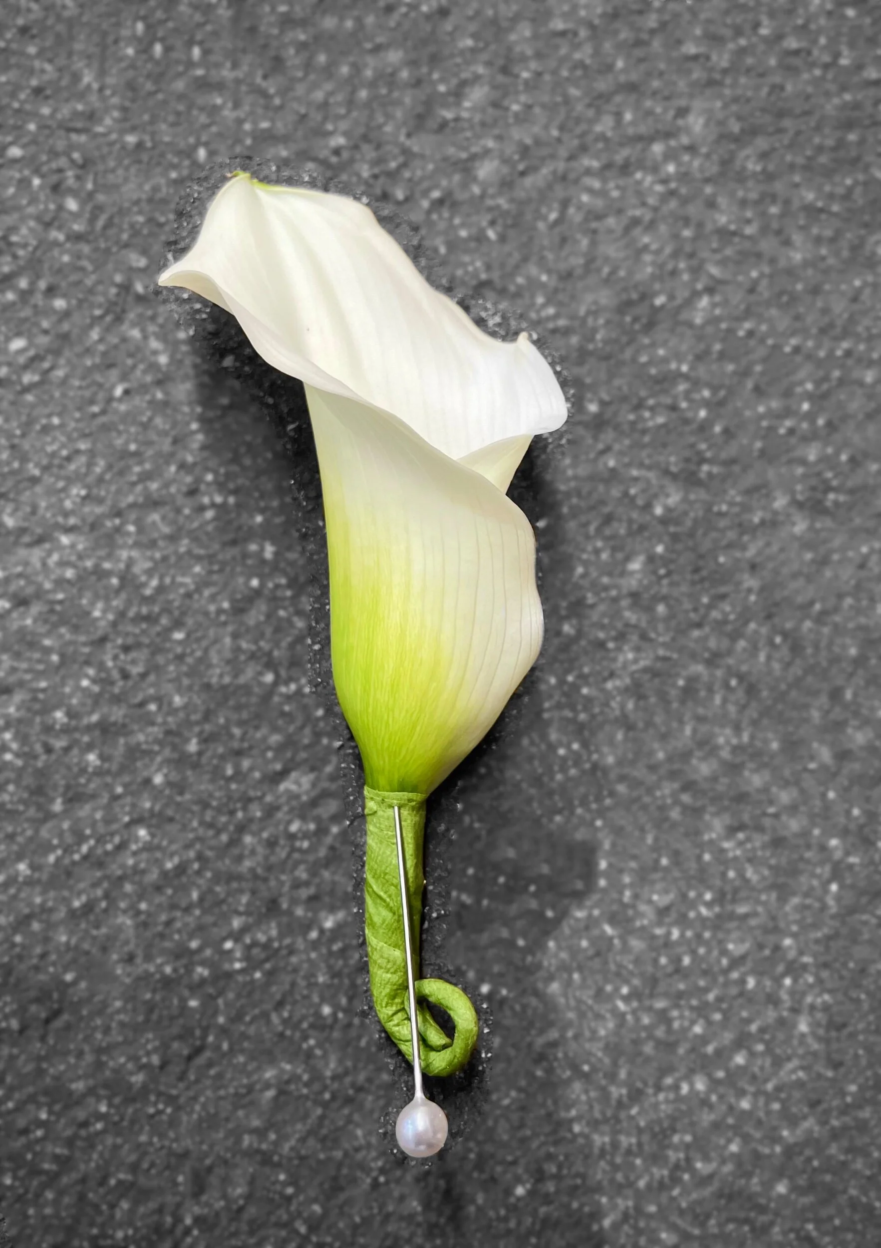 4611152B-07E2-43B0-8738-59EA22F4276A