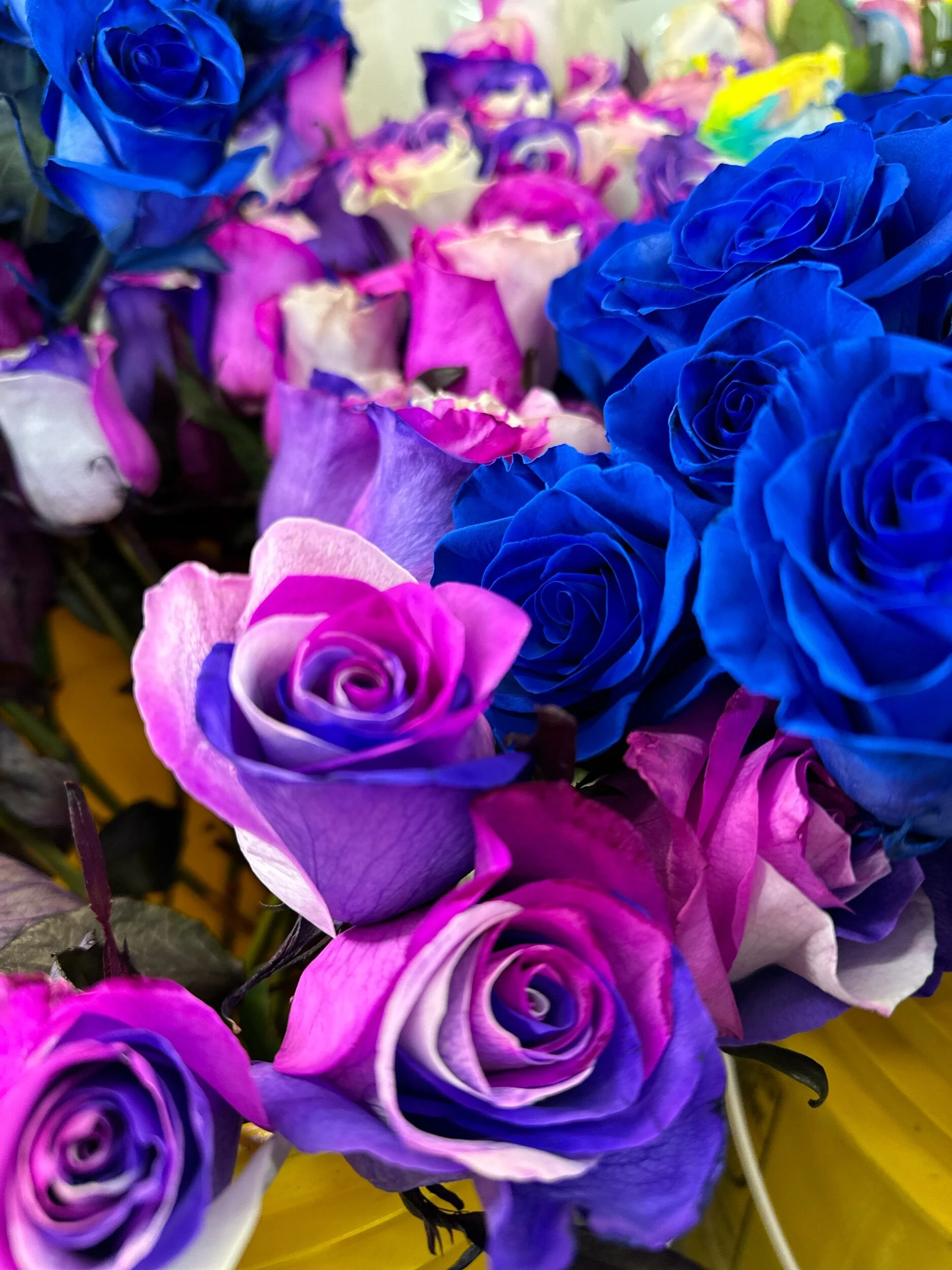 6E29860B-E115-4EAD-9733-F7F0256A0DAF