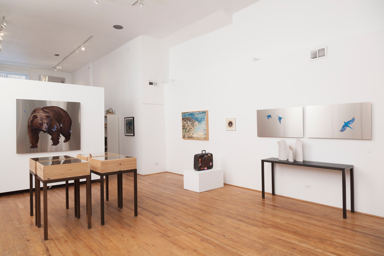 gallery shot 5.jpeg