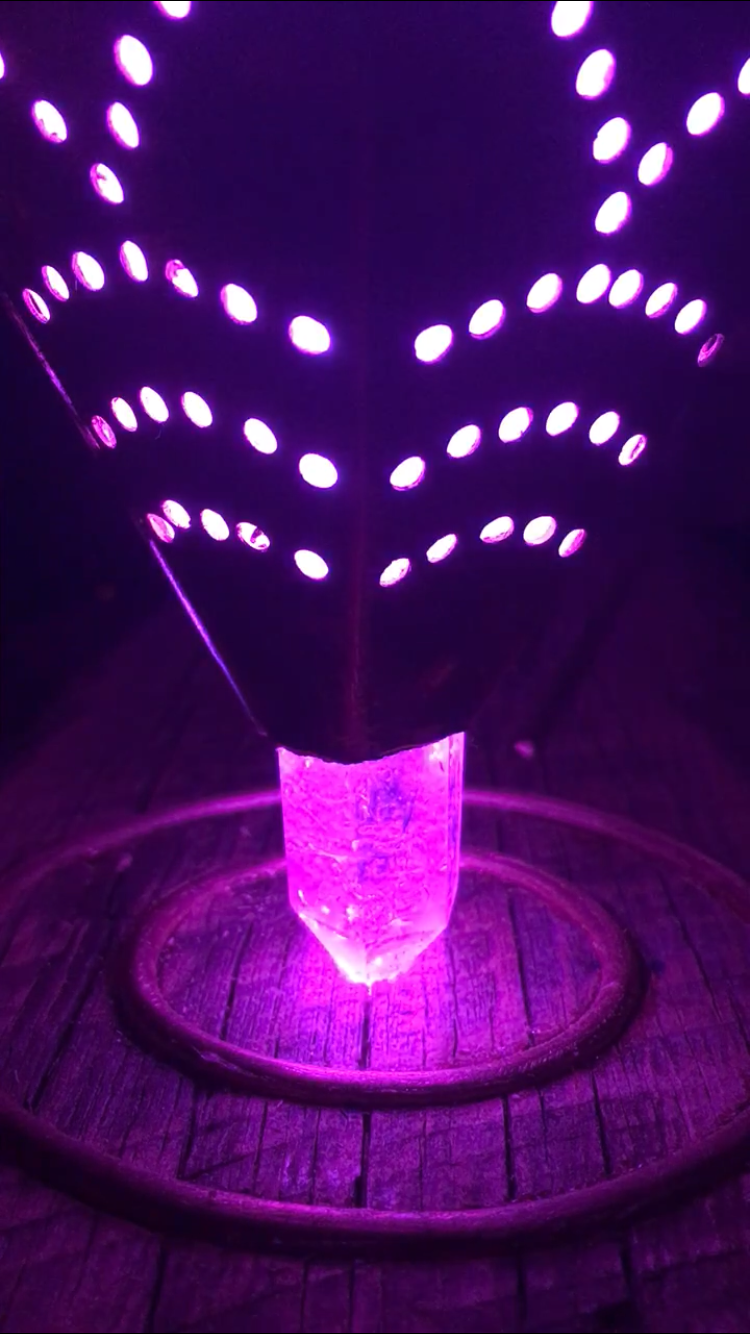 Submerged: New Work by David Sanders