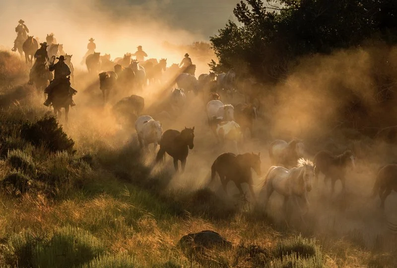 National Geographic Photographer Jay Dickman