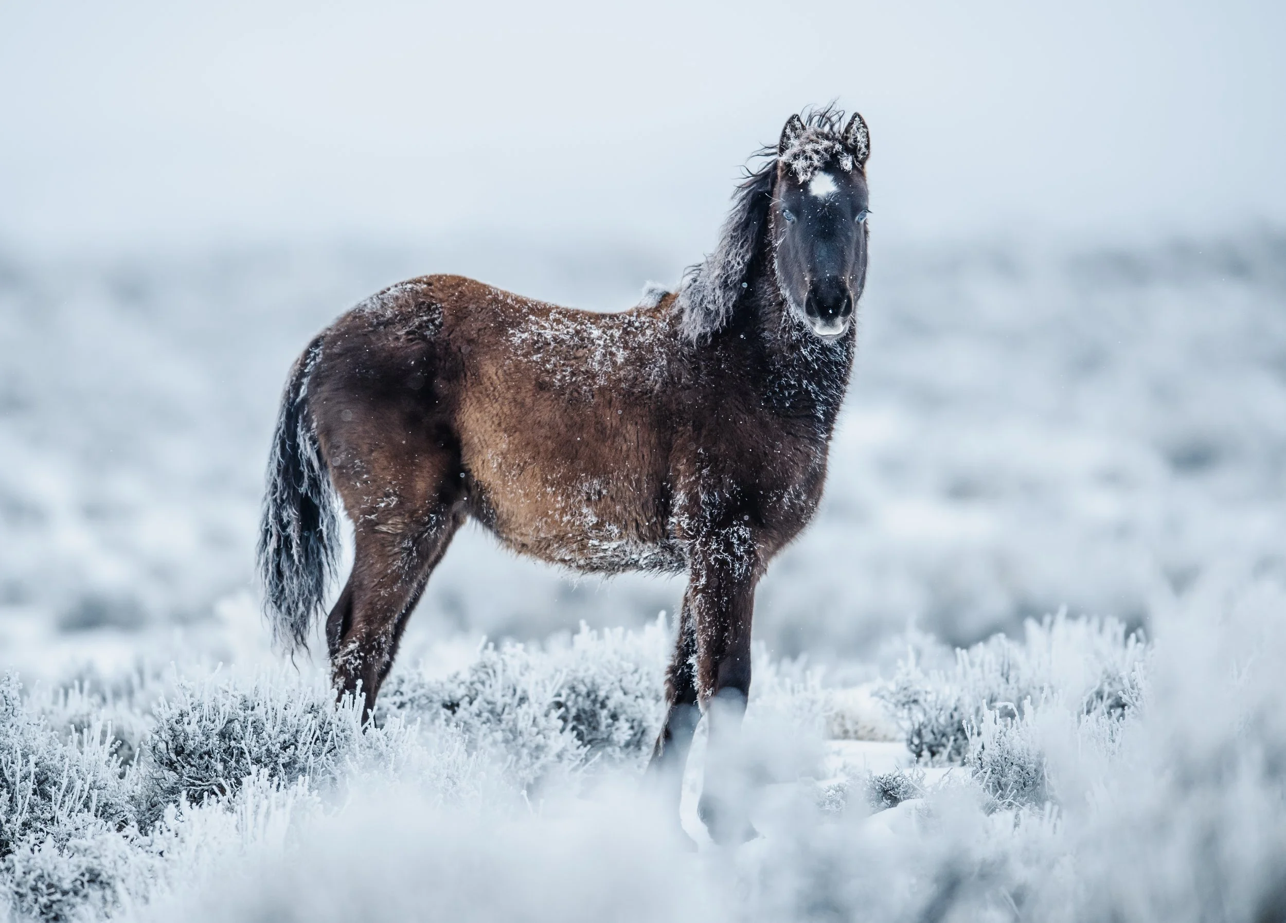 LIFE BELOW ZERO°