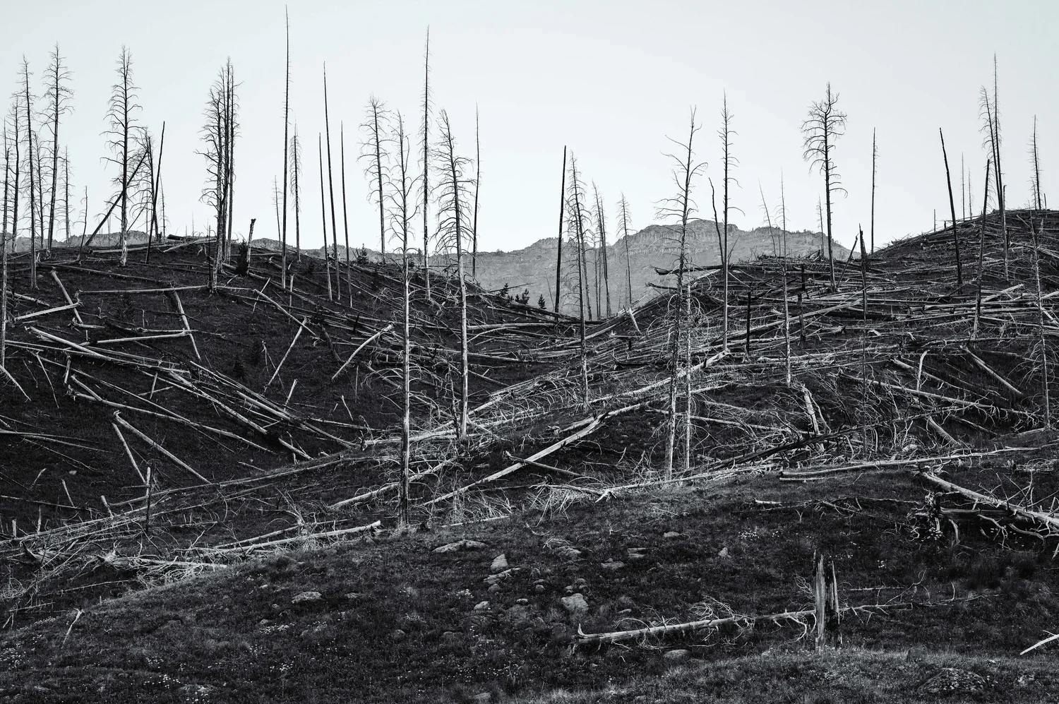 “Fire and Ice,” Landscape Photography by Terrel Bailey at Artists on Santa Fe Gallery