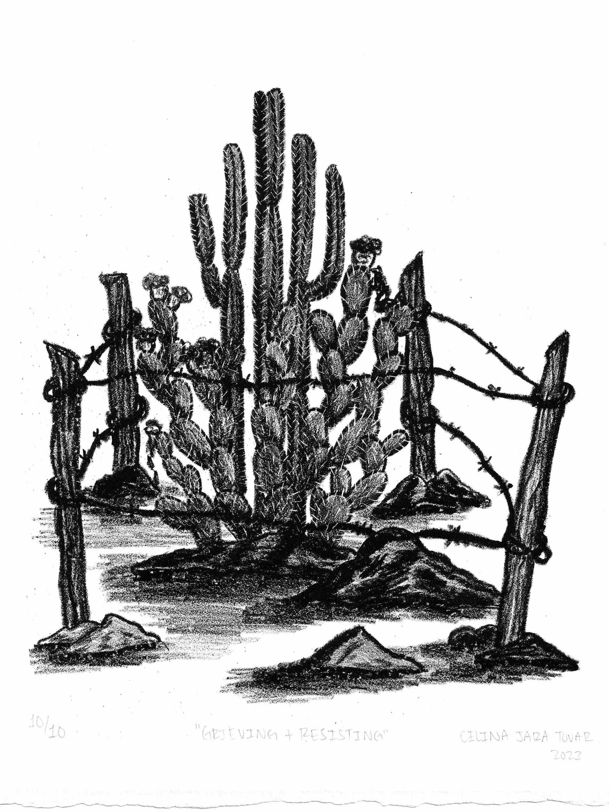 Future Landscapes and Lithography at Center for Visual Art