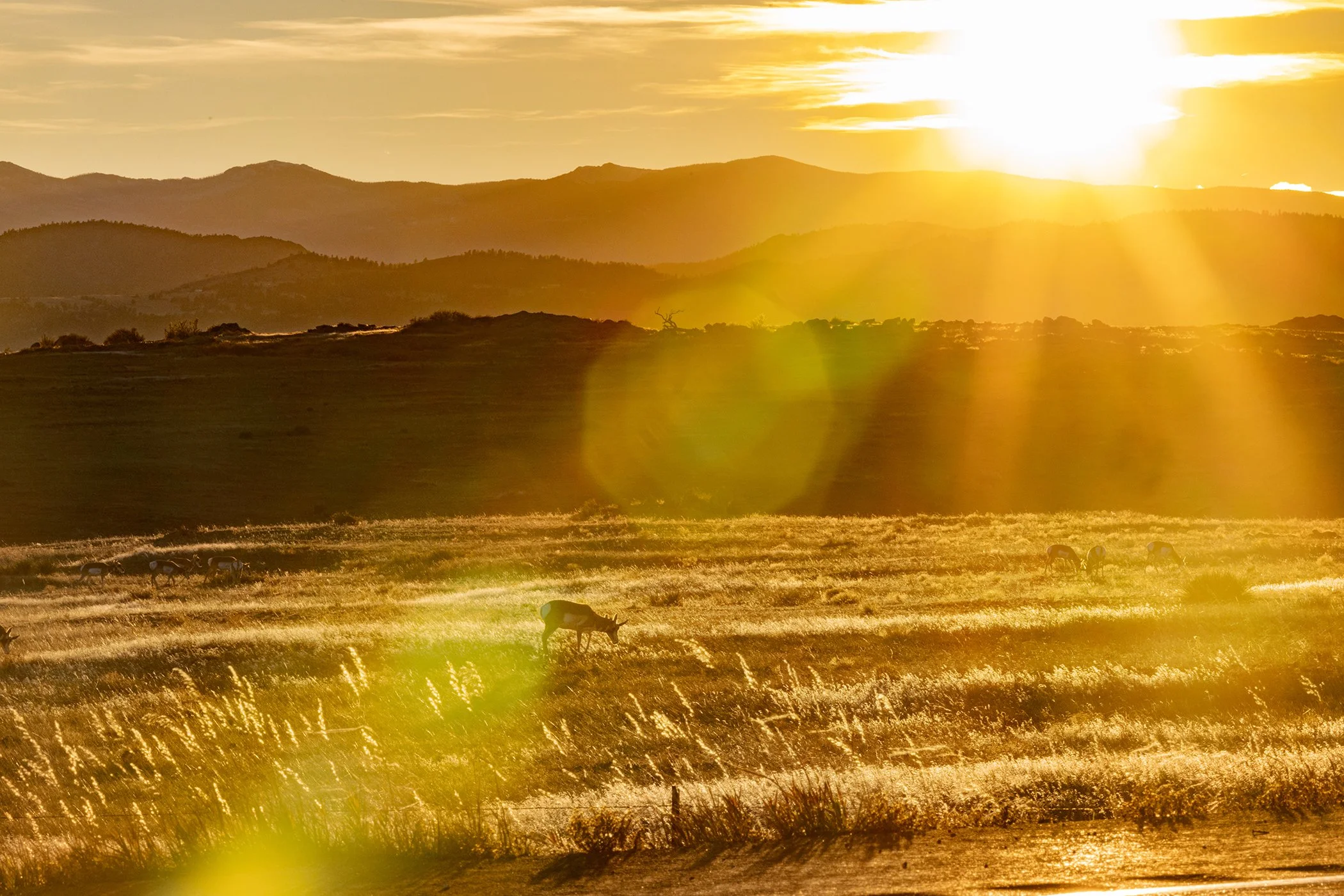 On the Road Again: Scenes from Highway 287 at D'art Gallery