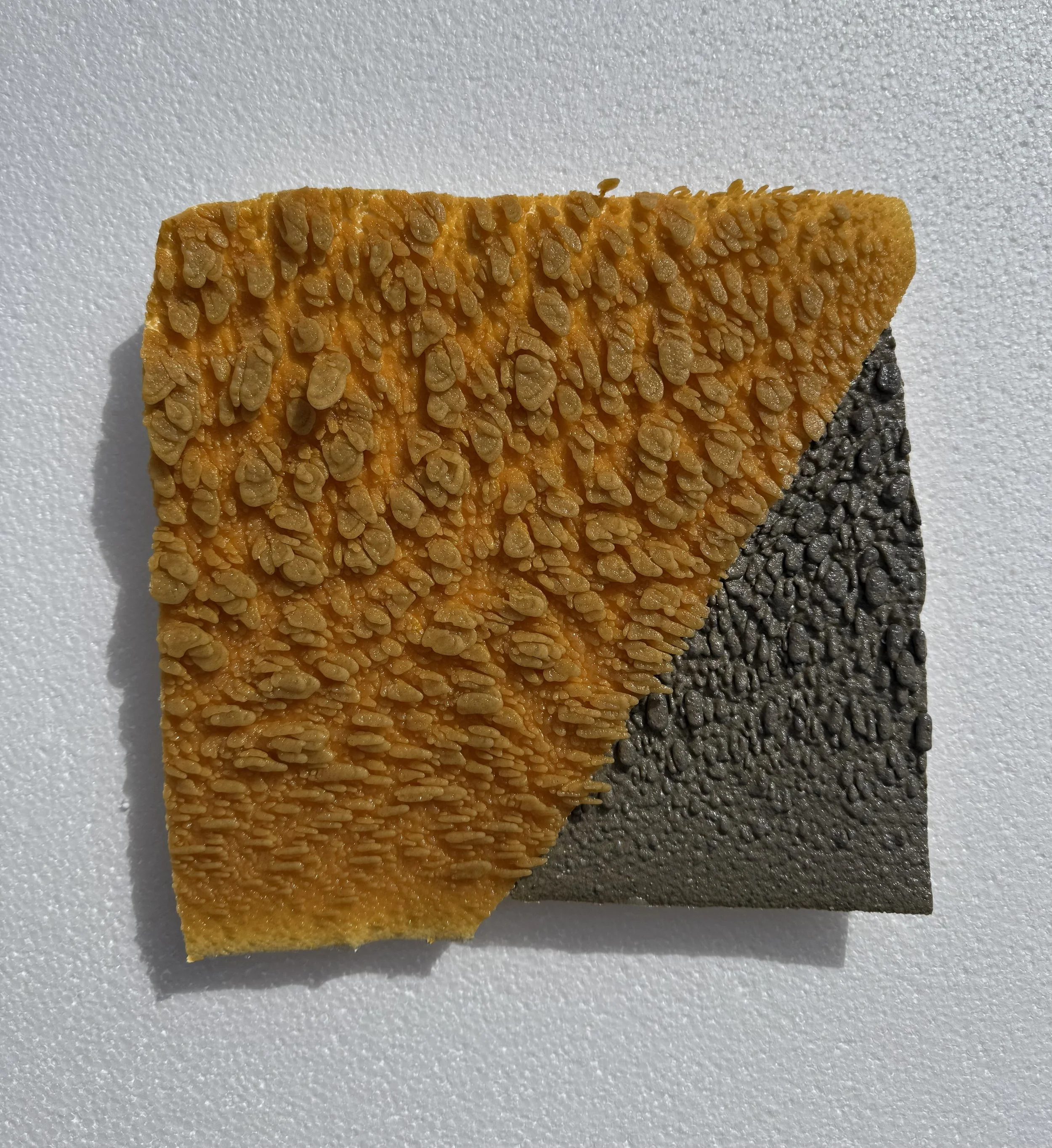 Order/Chaos at Sync Gallery