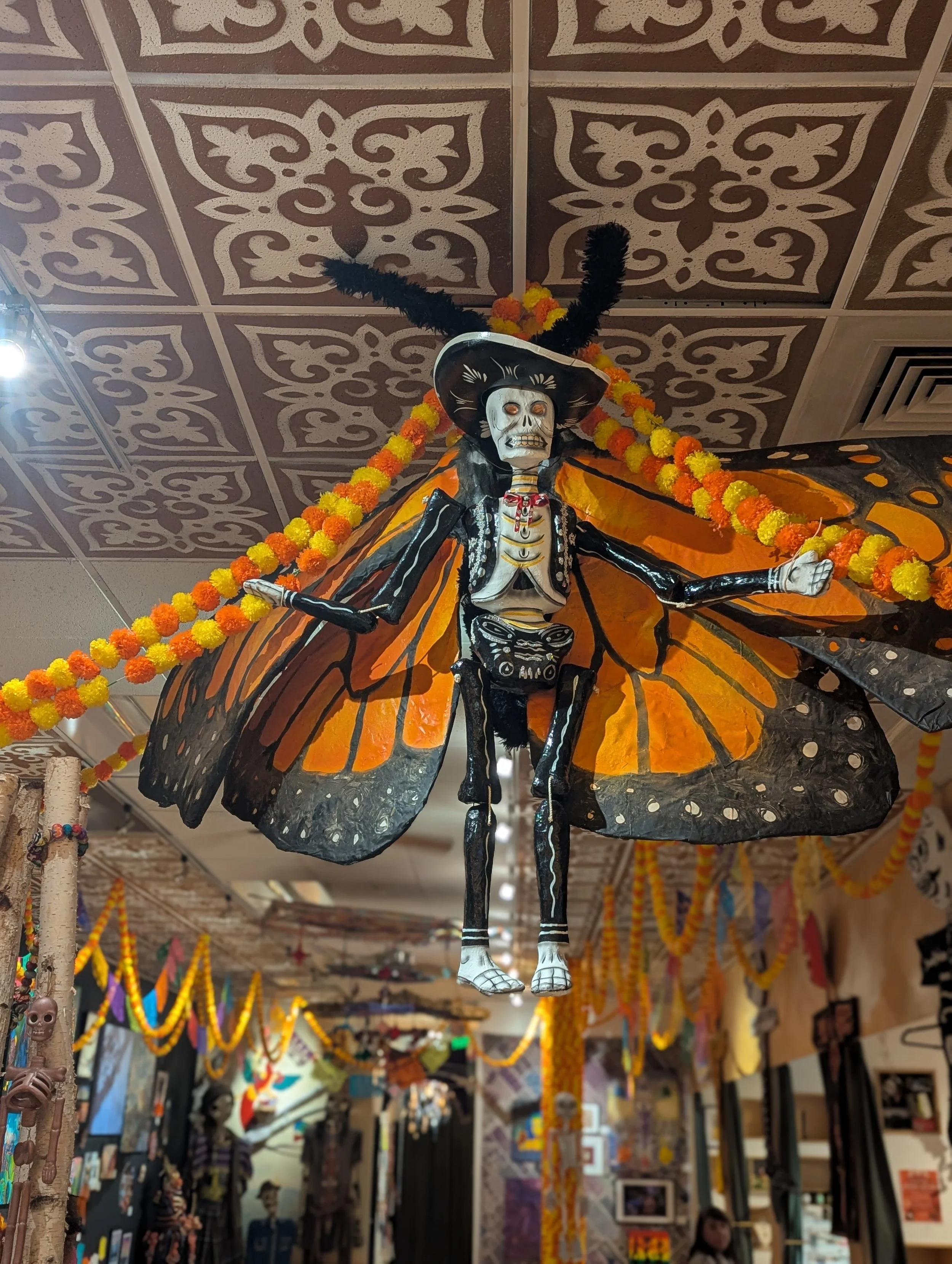 Día de los Muertos at Curios Nature &amp; Co