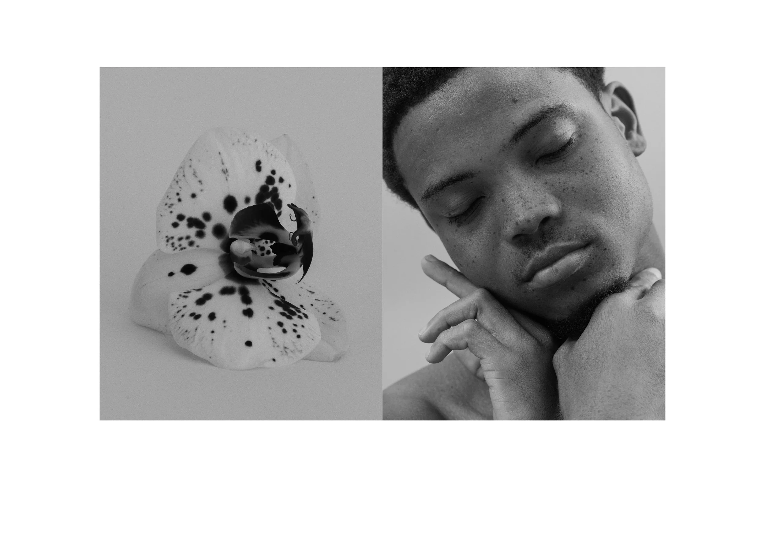 diptych.jpg