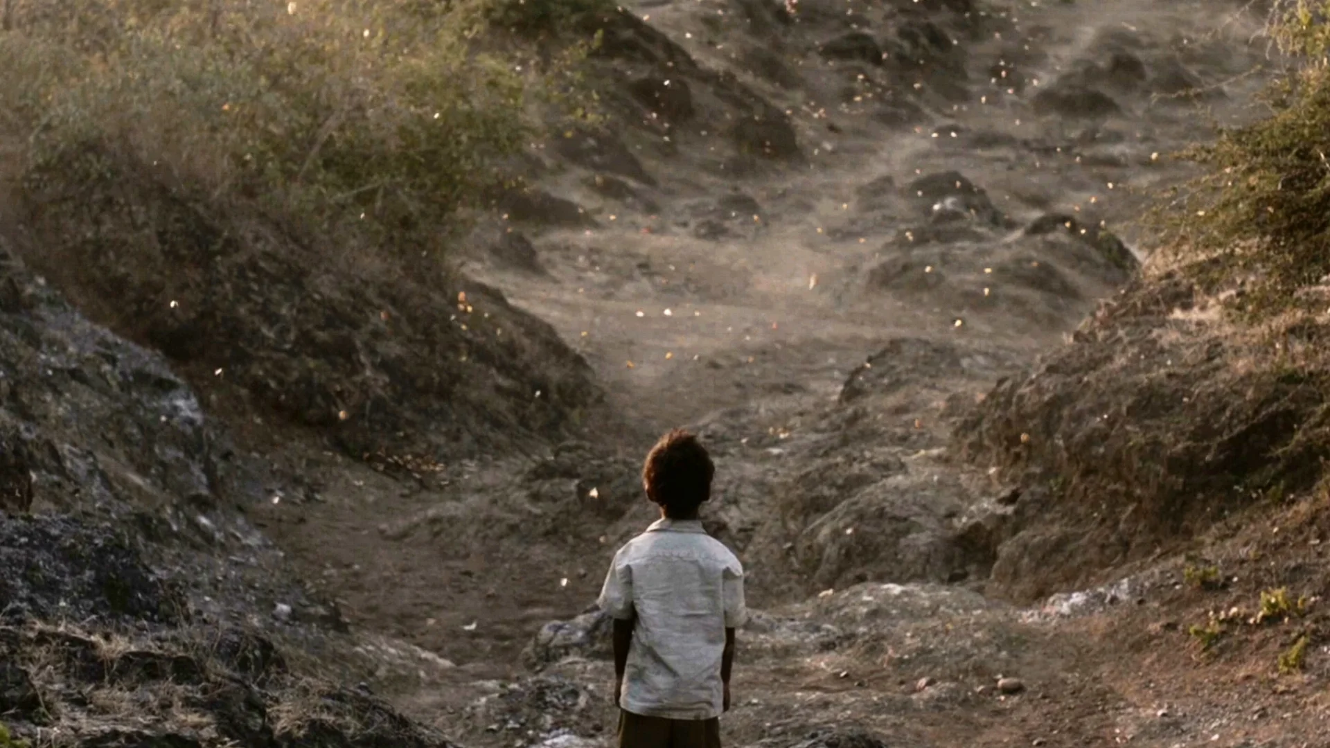 Lion Domestic Trailer2-5.jpeg