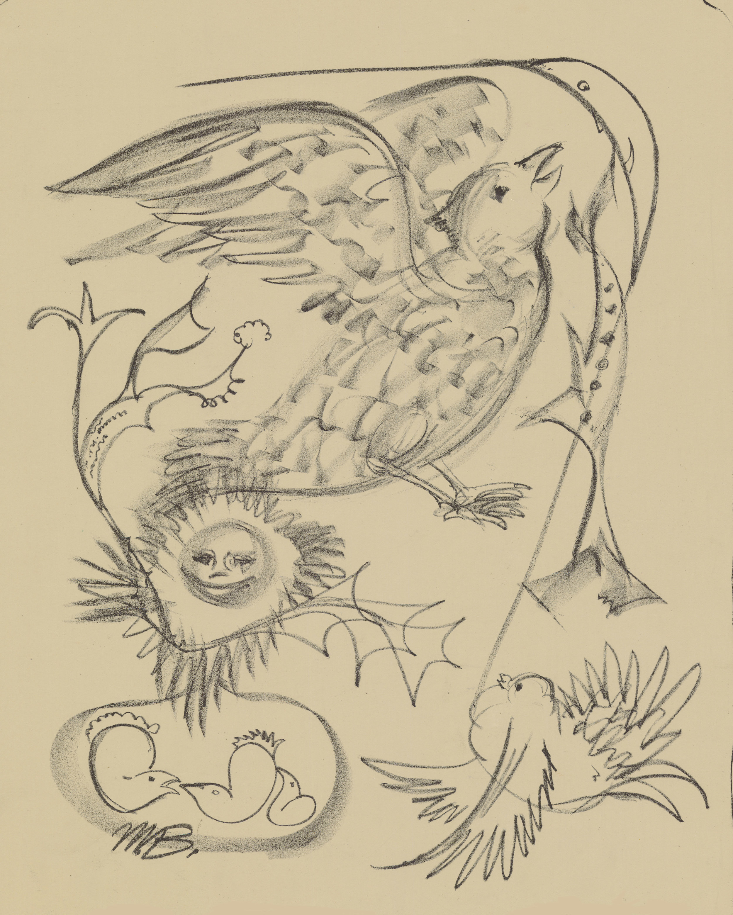 Bird Study. 1949.