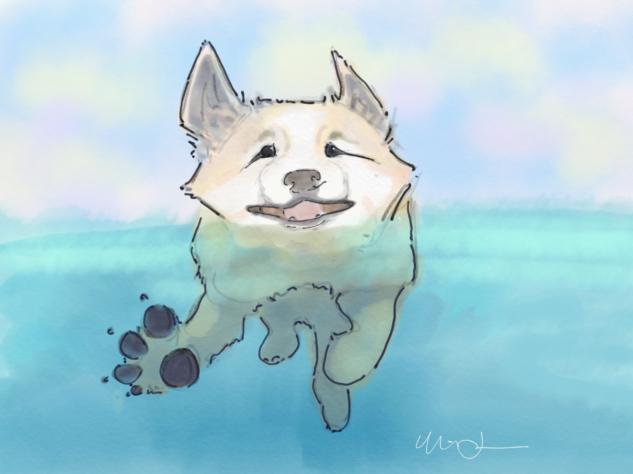 Little Swimmer