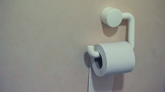 pooping after childbirth.jpg