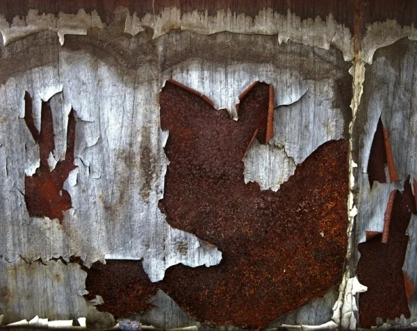 SQ-PHOTO2W.jpg