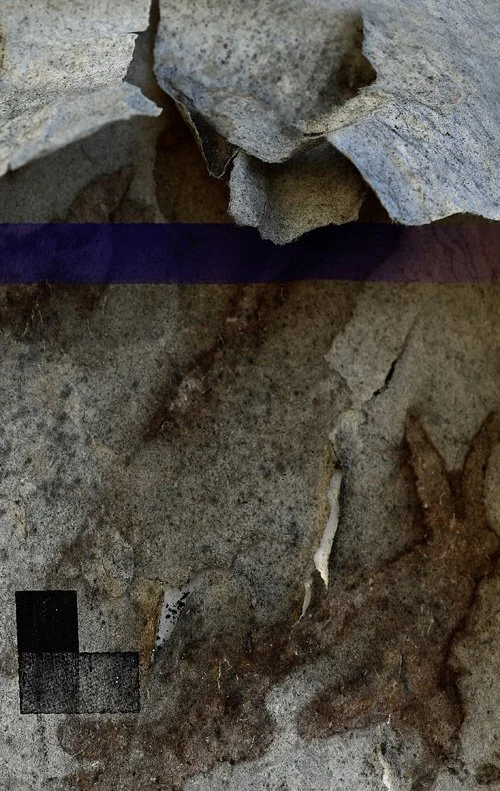 SQ112426.jpg