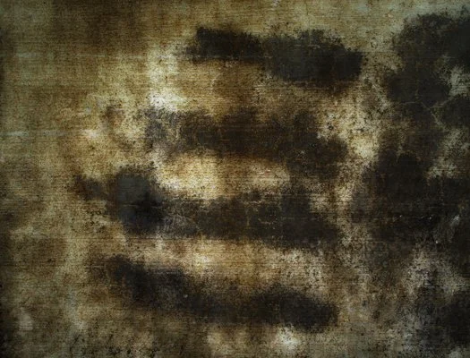 SQ1187.jpg