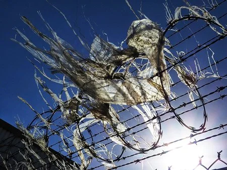 in Compton barbed wirw and razor wire are common but p[lastic seems to to represent a flag, warning of the ecological demise of the inner city.jpg