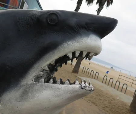 I find so many images while riding my bike and this incongrous site appeared along the beach in manhattan beach.jpg