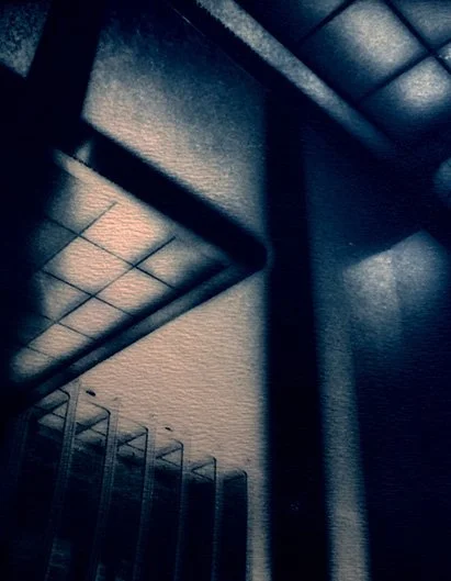 cyanotypes, lumen, polaroid mono prints, hjand coloring polaroid transfers, solarization macro.jpg