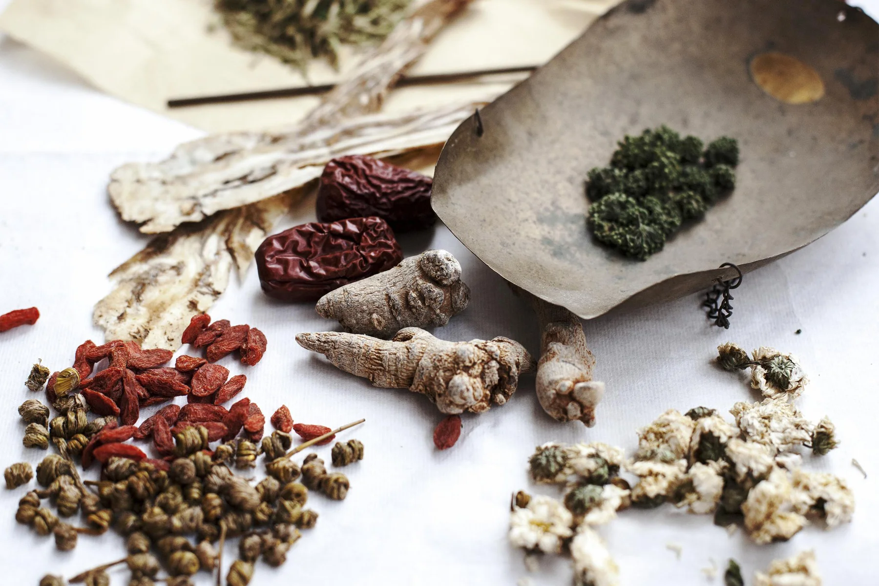 Herbal therapy Herbal therapy is a complimentary branch of Chinese Medicine. Every prescription is individualized to best support the course of treatment. Each of our practitioners is skilled and knowledgeable in the prescription and application of herbal medicines.