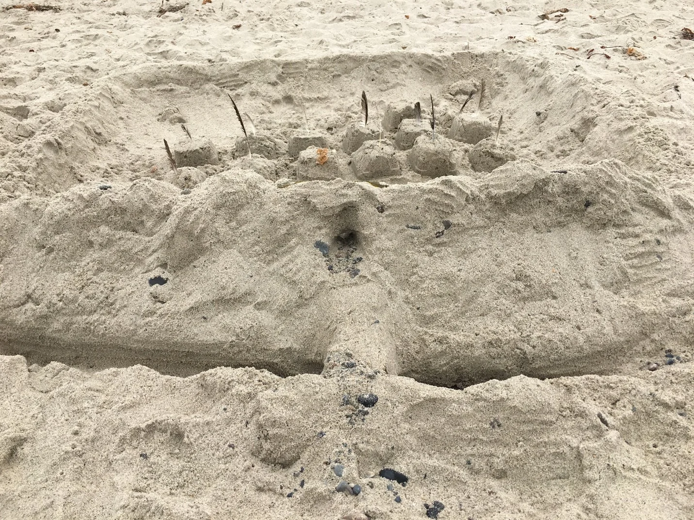 sand fortress.jpg