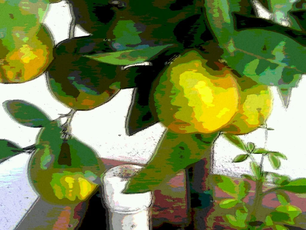 Another Twitter Prompt—Orchards of Scissors, Silverware, Clocks, Socks, Widgets, Tofu, a Sister
