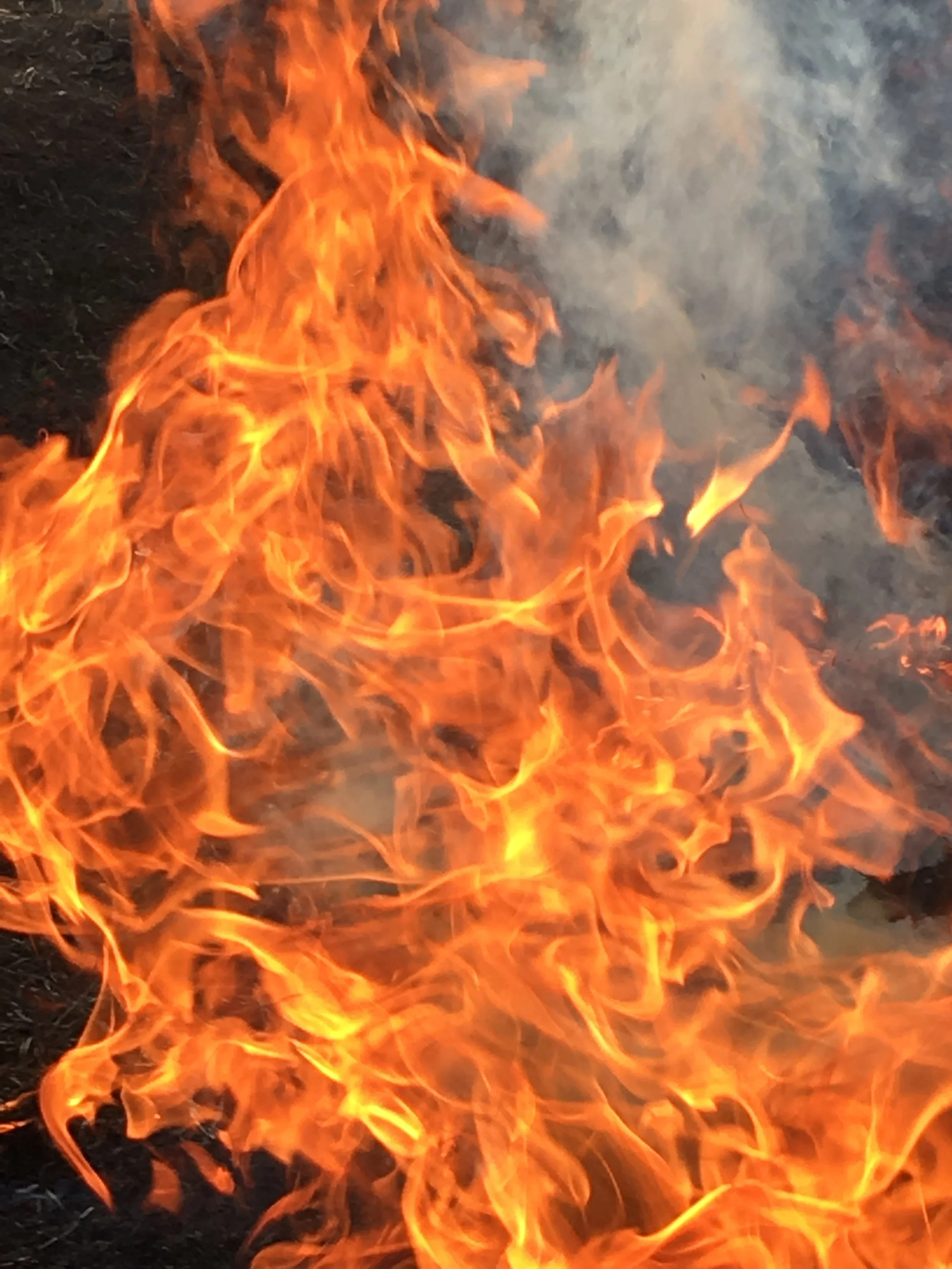 Break the Line—A Twitter Game for Poets