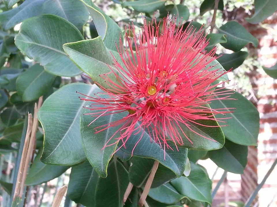 A Prompt from Magic Realism Bot