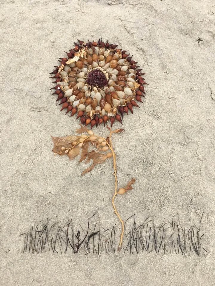 Metaphor Your Writing—Another Twitter Prompt