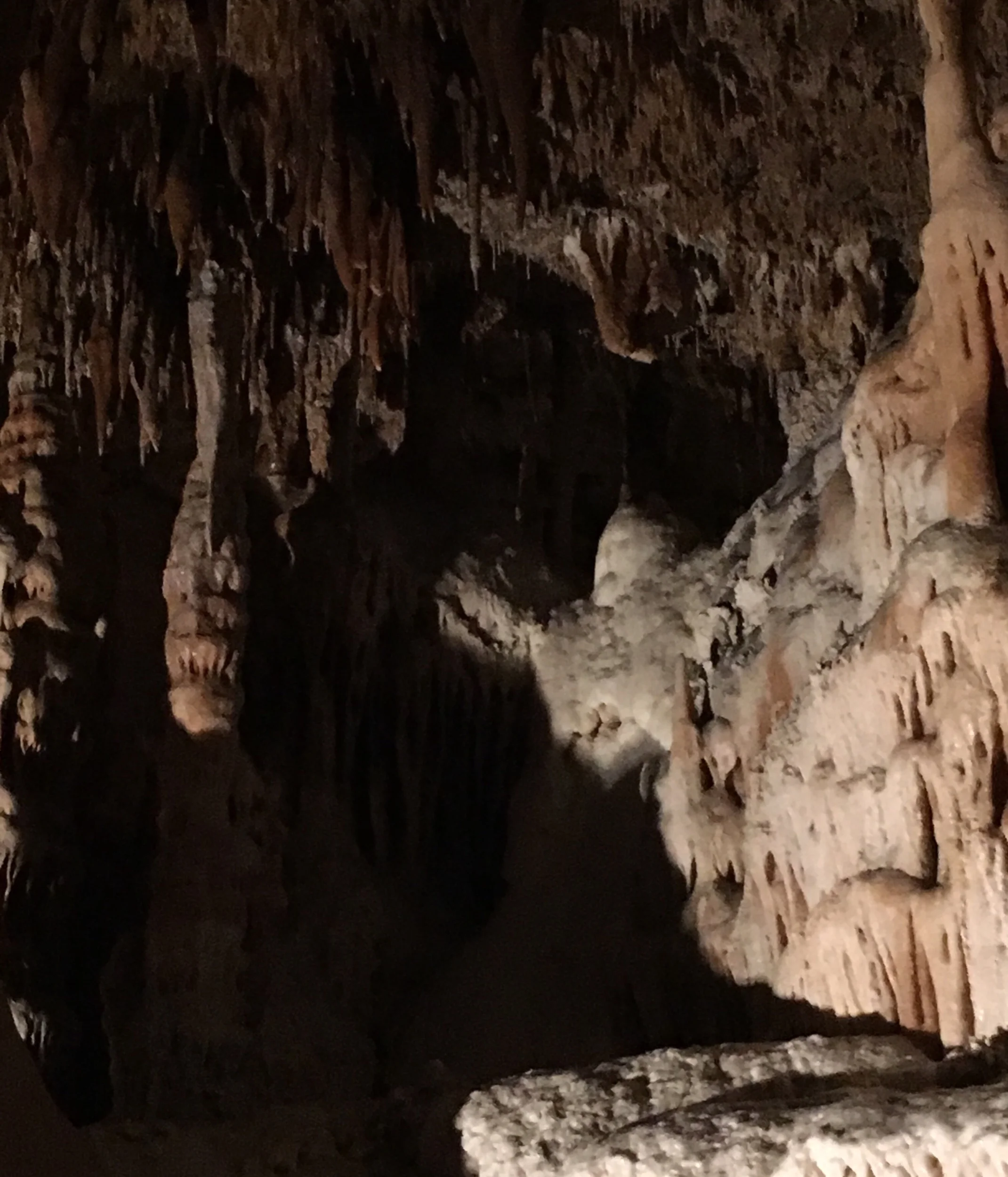 The List Poem to Out-list All Others—A Try-to-Follow-This Prompt