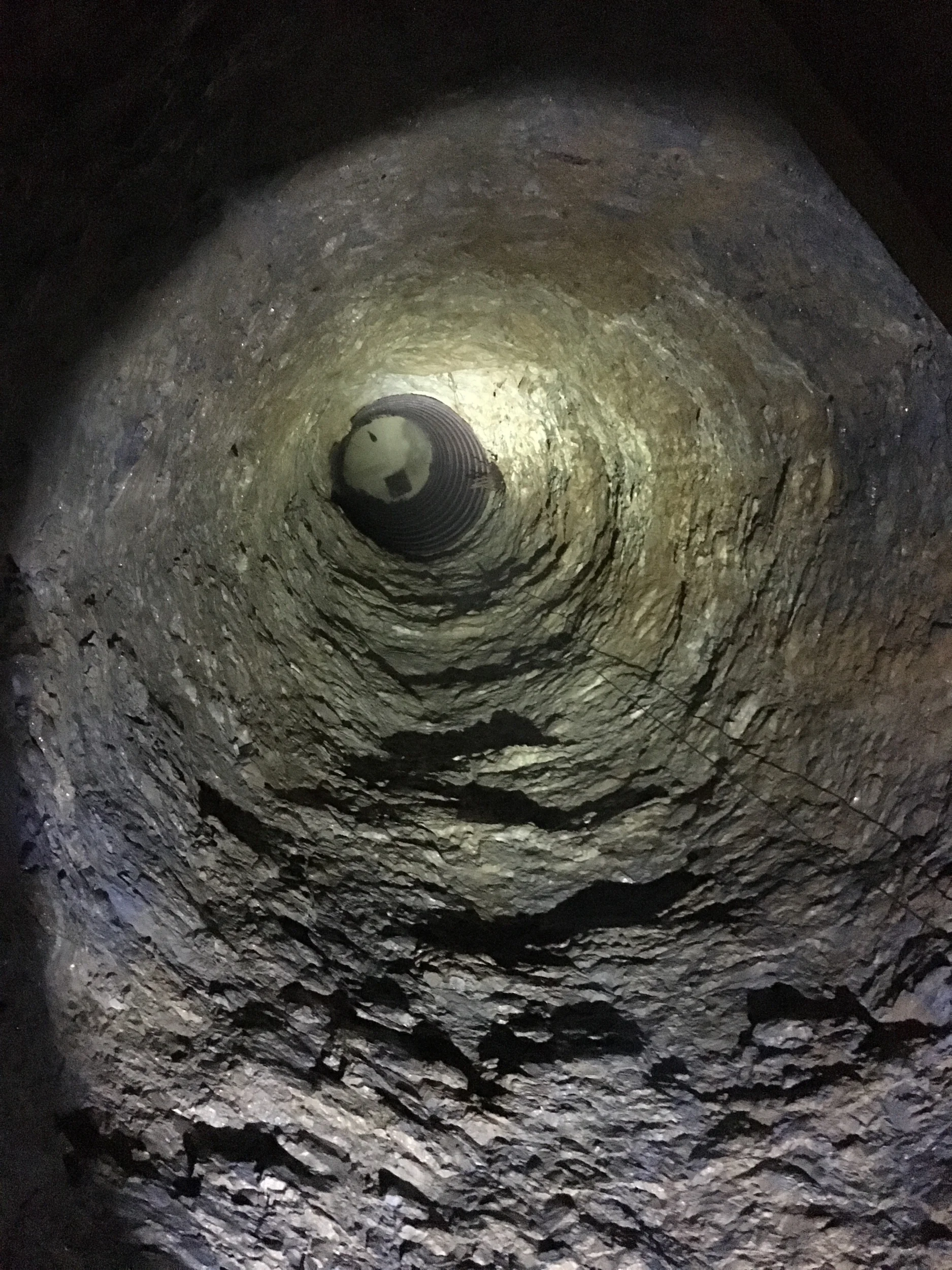 The Prose Poem—Prompt Inspired by Danielle Mitchell