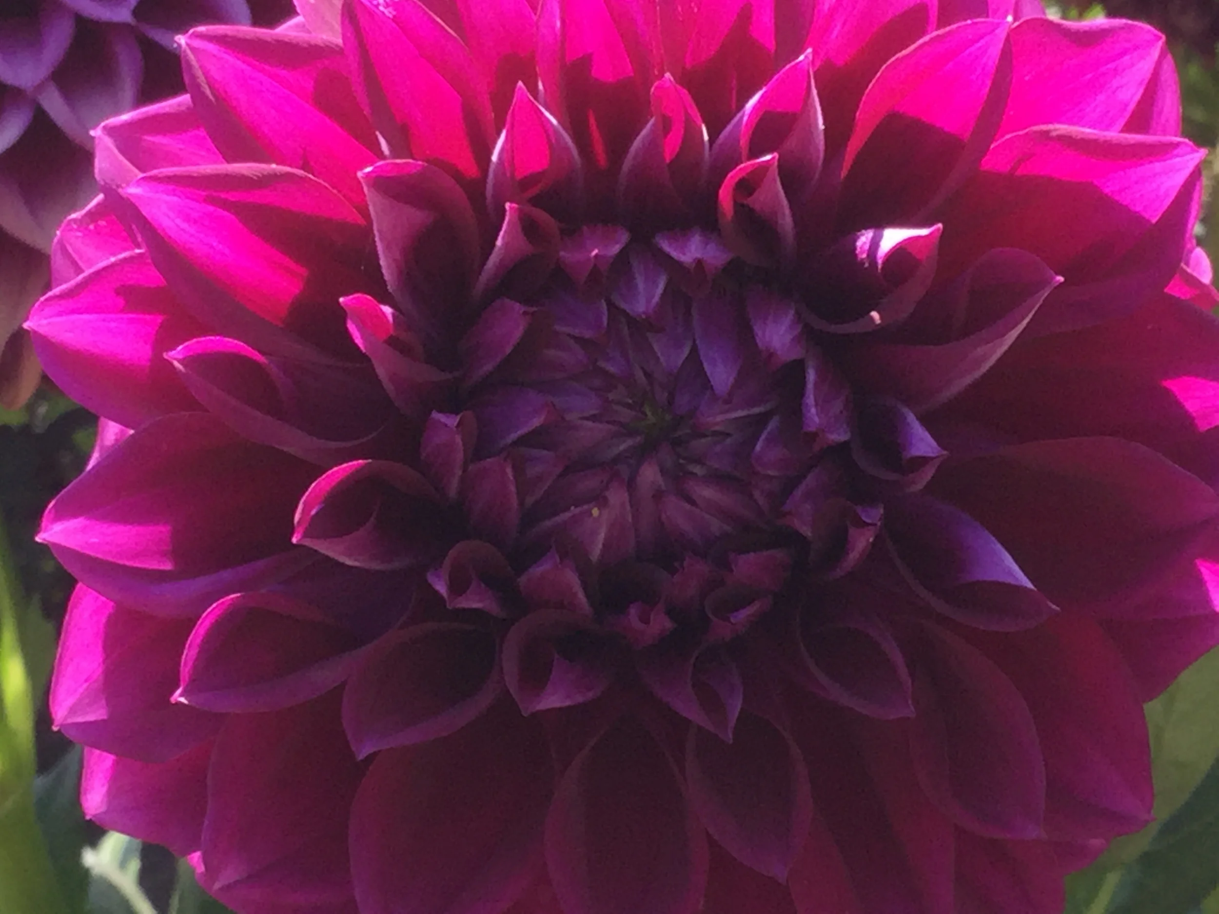 Magic Realism Bot for the End Times—Stolen Prompts about Stealing, Libraries and the End of Time