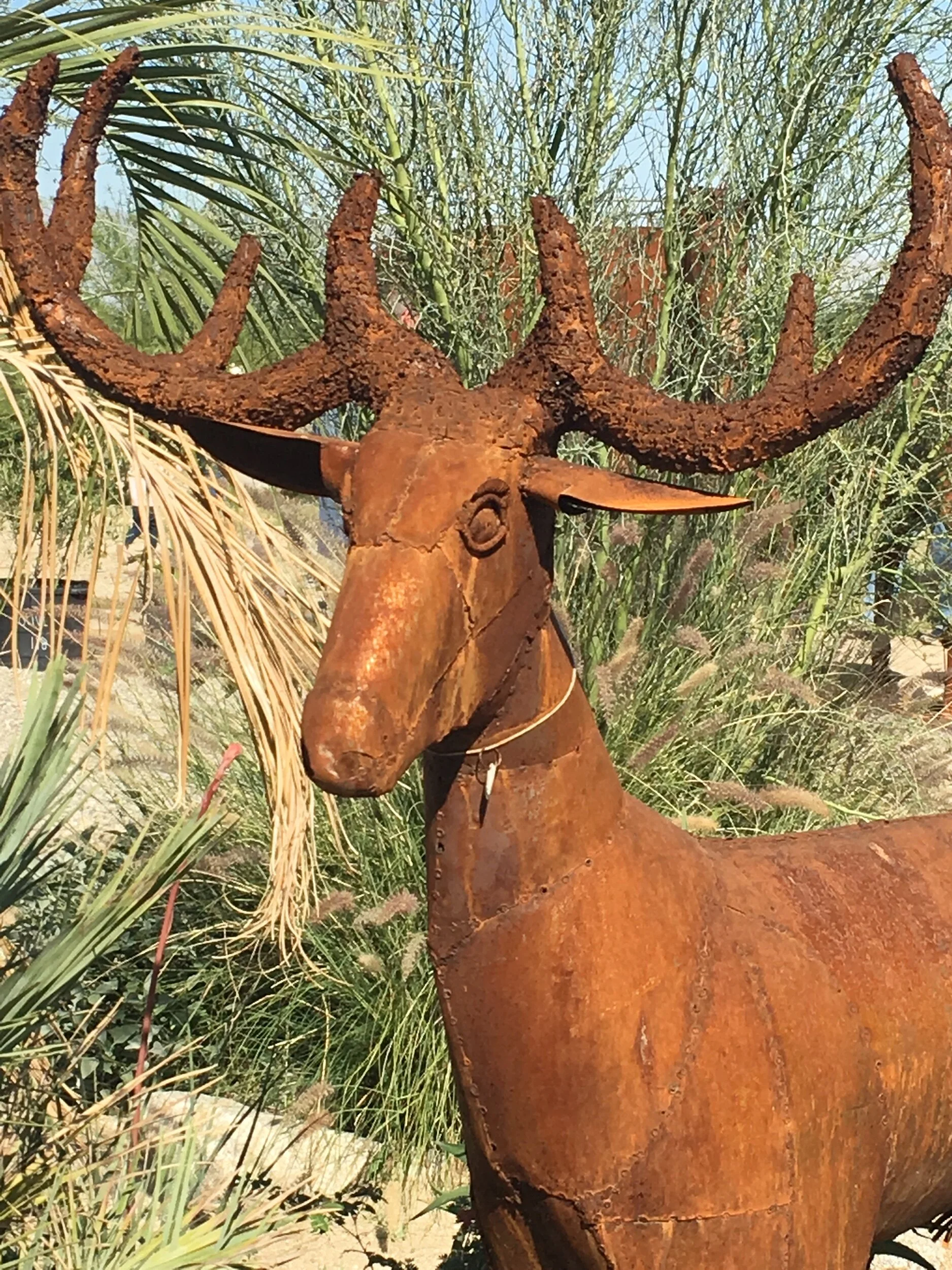 “For All The Deer” Who Wandered in Our Writing: Prompts Inspired by Noah Stetzer