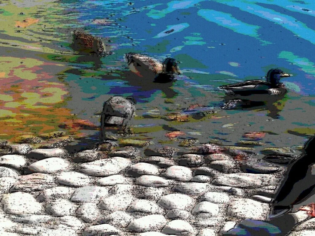 Add Your Adages in a Row—Prompts Inspired by Sara Miller