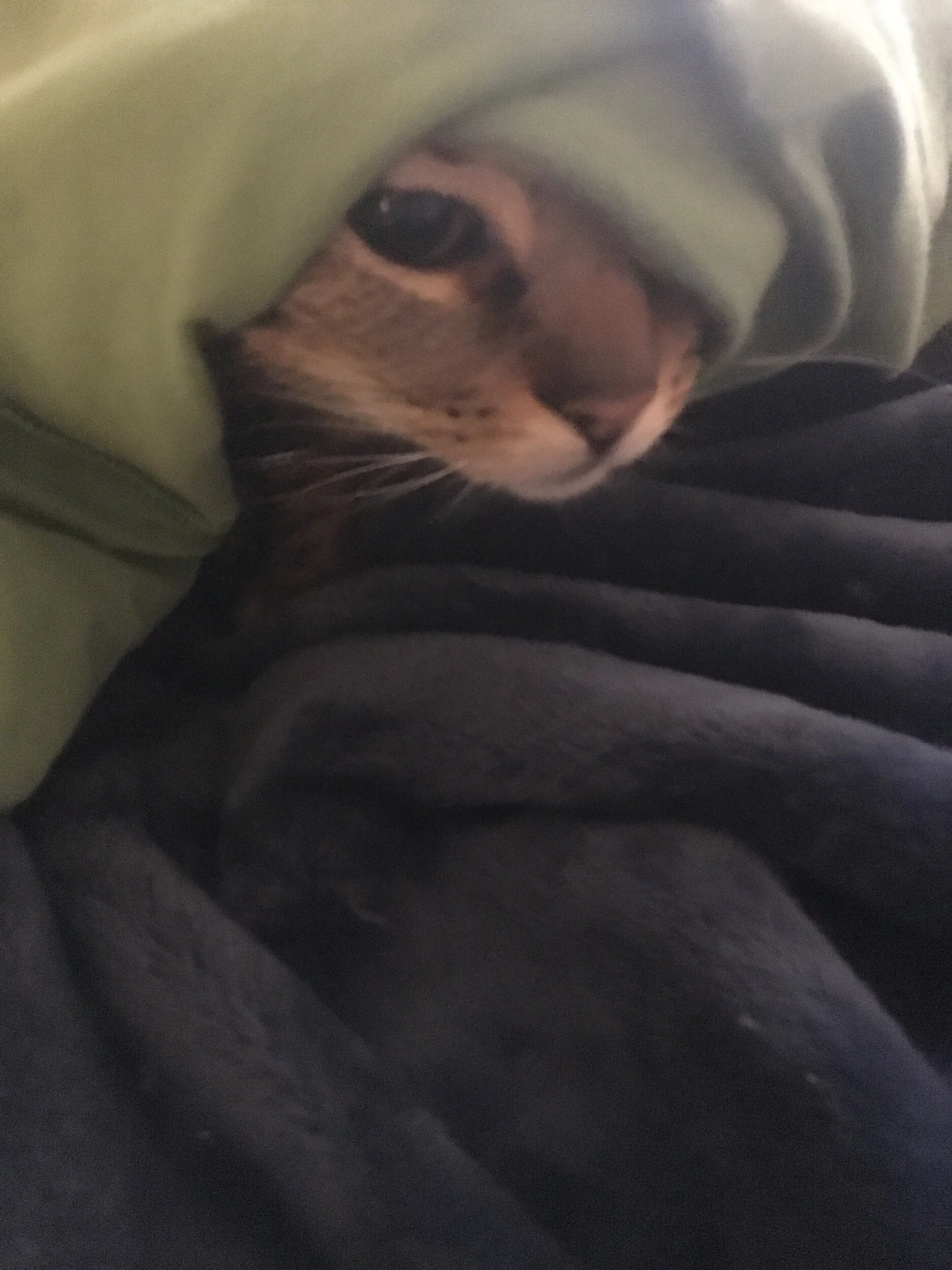 Dress a Mannequin, Not Yourself—Prompts for the Pantsless