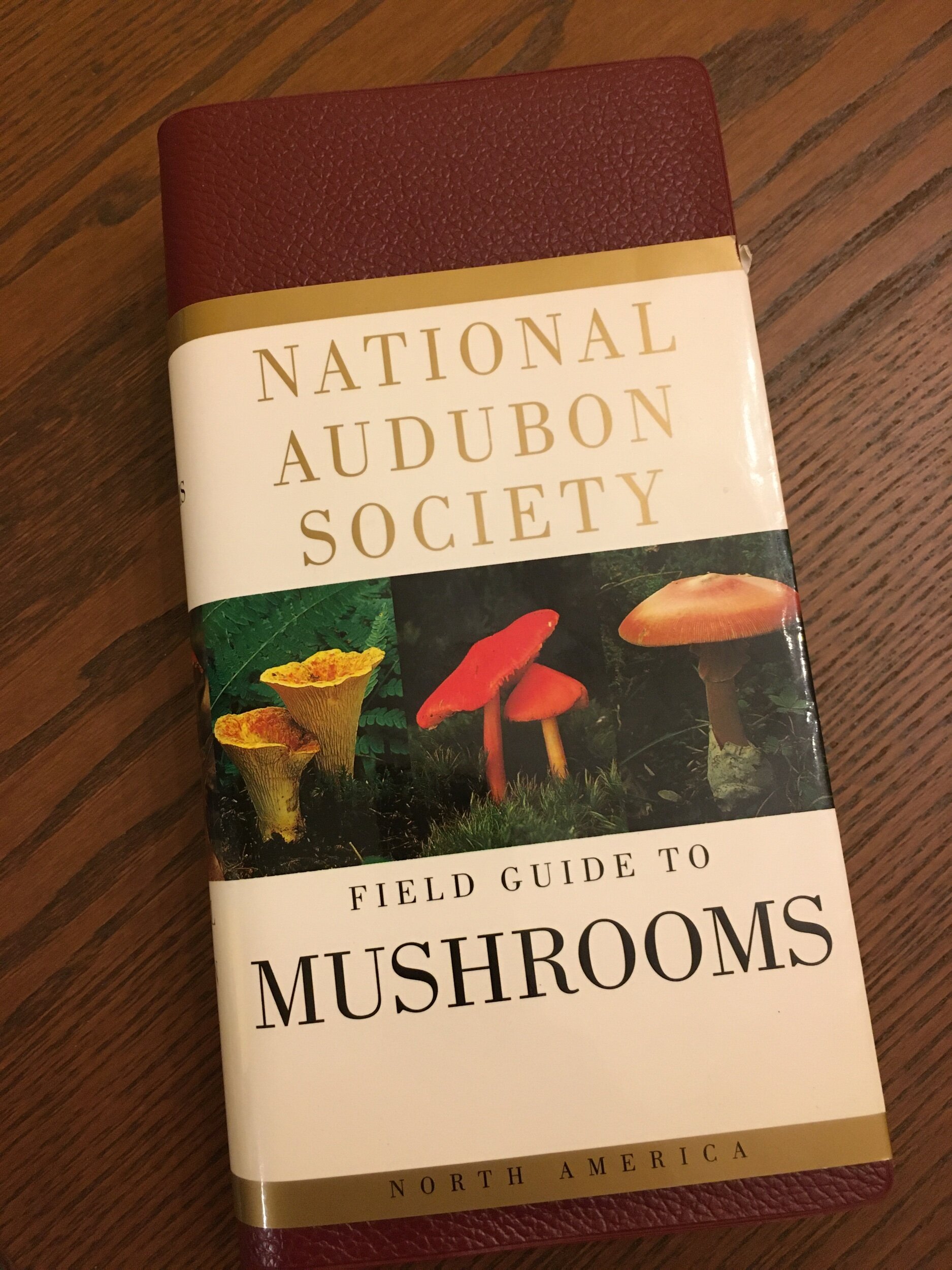 See, You Are Going to Use That Textbook Again—A Twitter Prompt to Prove Your Mother Wrong