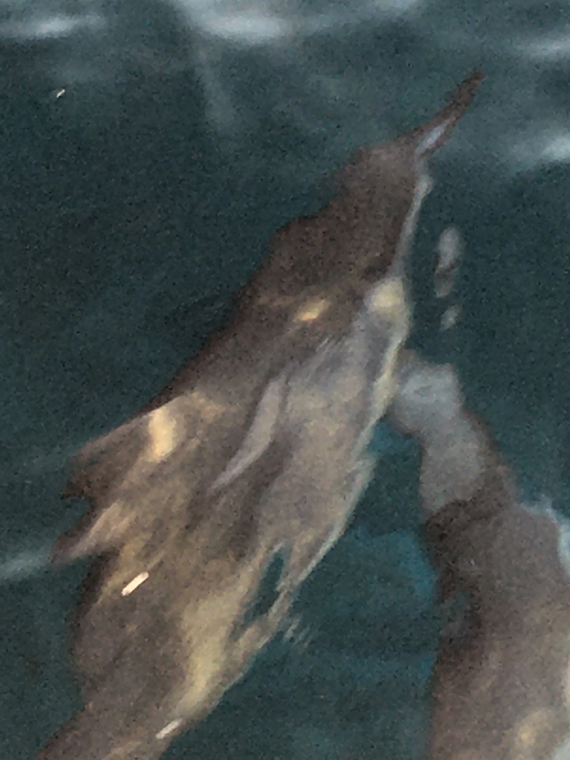 The Cento—A Prompt