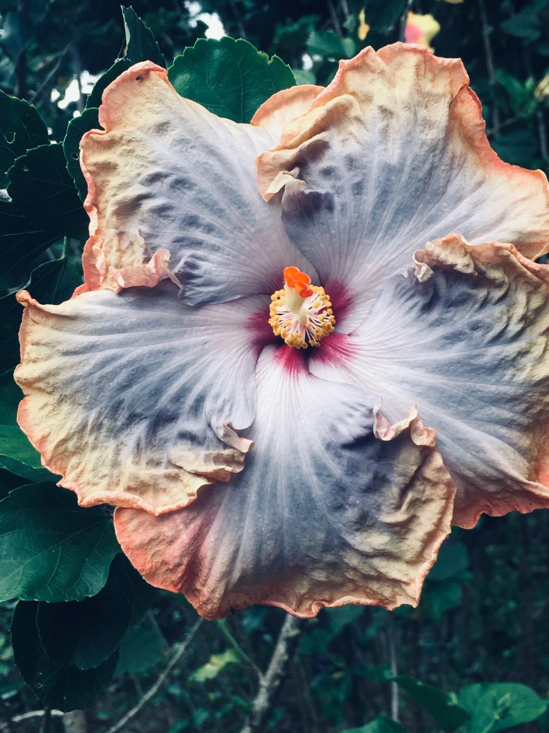 Explain the World That Does Not Exist But Should—Prompts