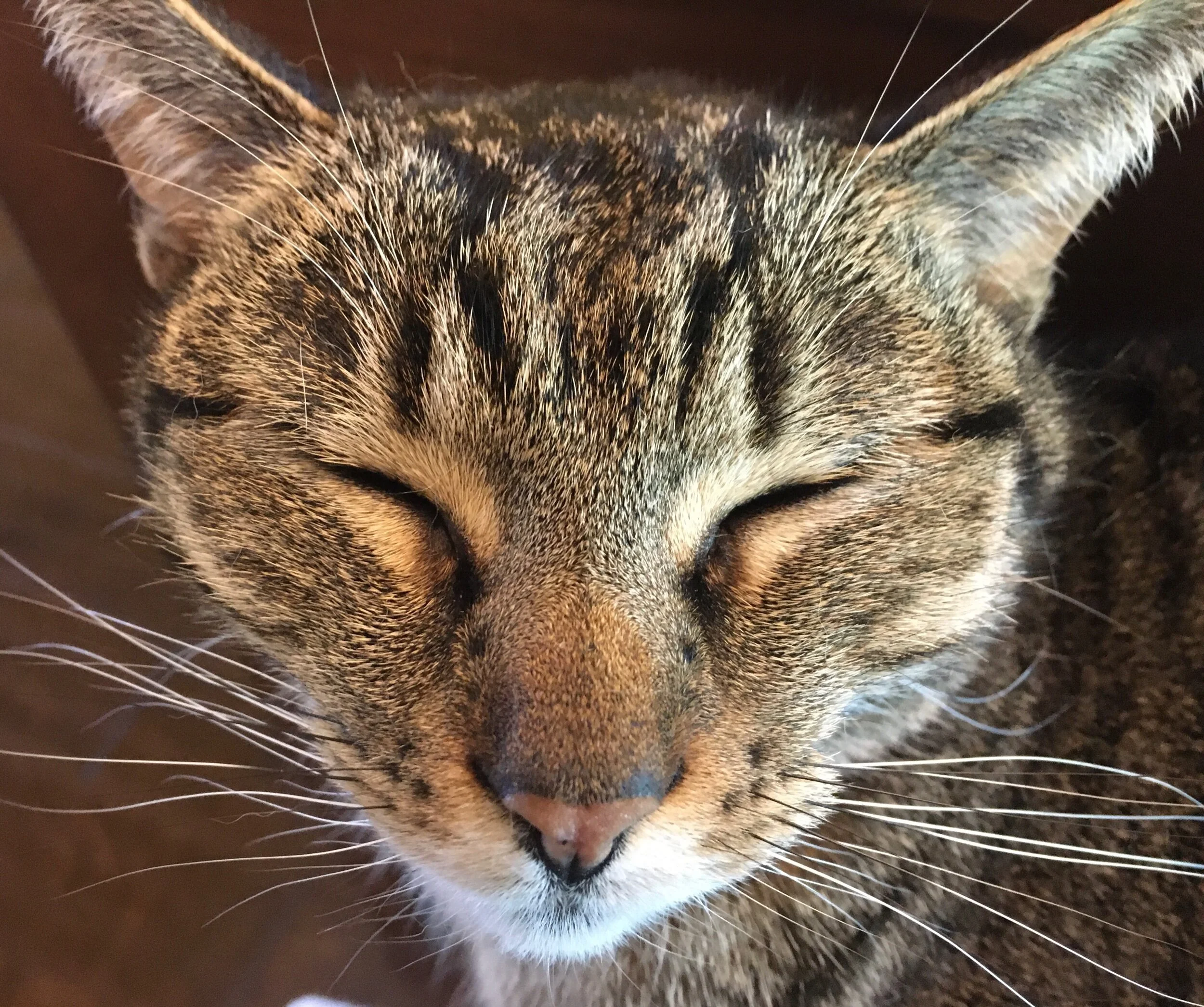 Short Poems to the Rescue—Prompts