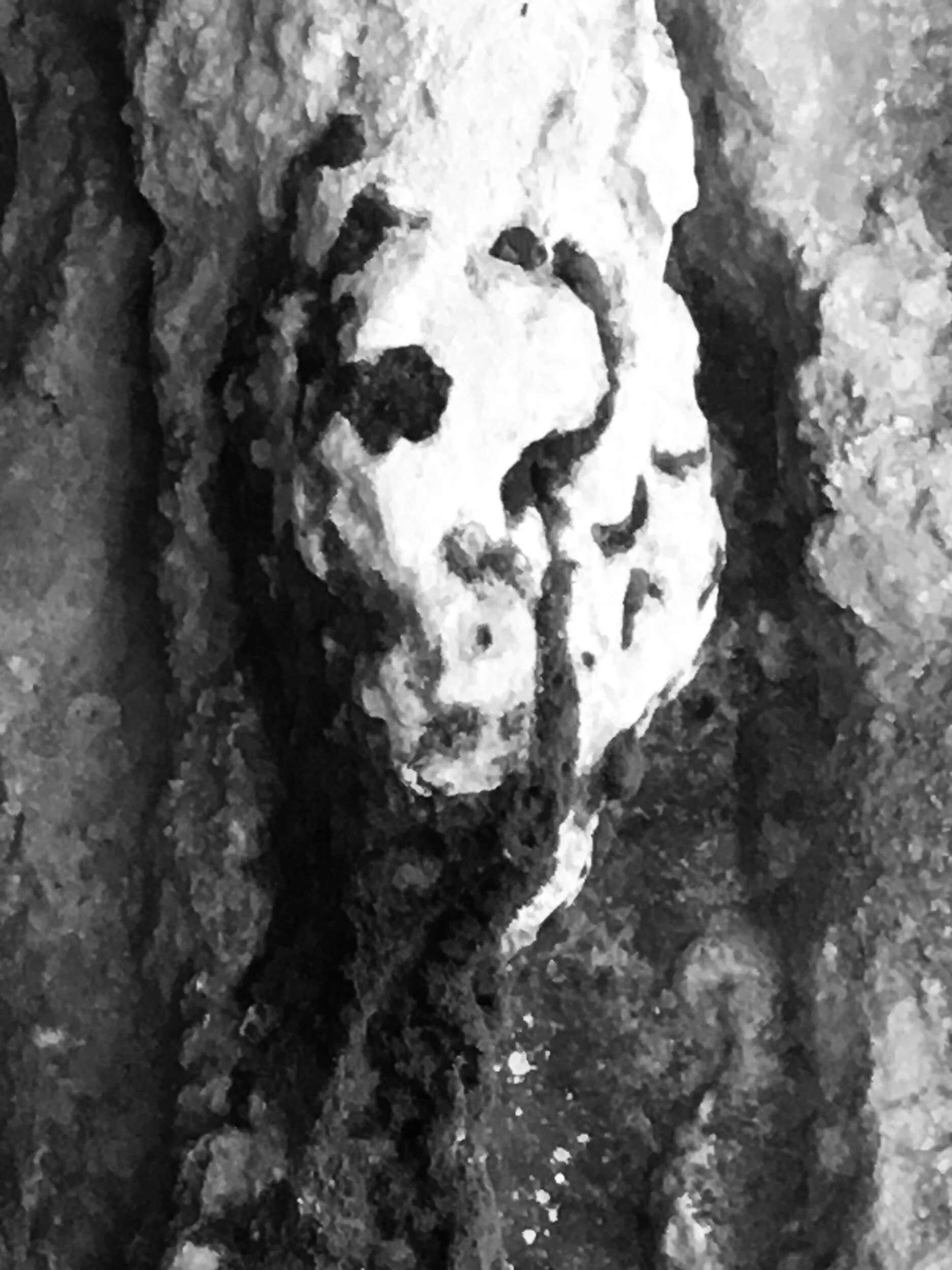 A Post About Not Posting and a Random Generator of Threats—Stolen Twitter Prompt