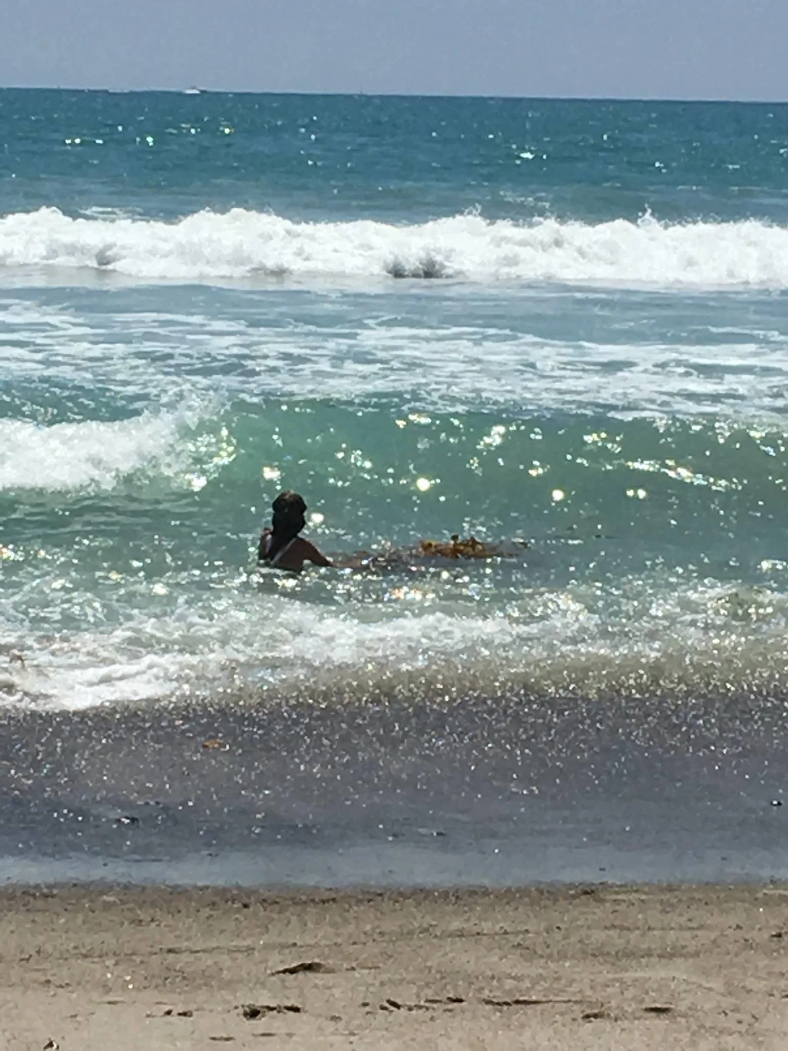 For the Few, the Many, the One, or the Rest of Us: Prompts Inspired by Wanda Coleman