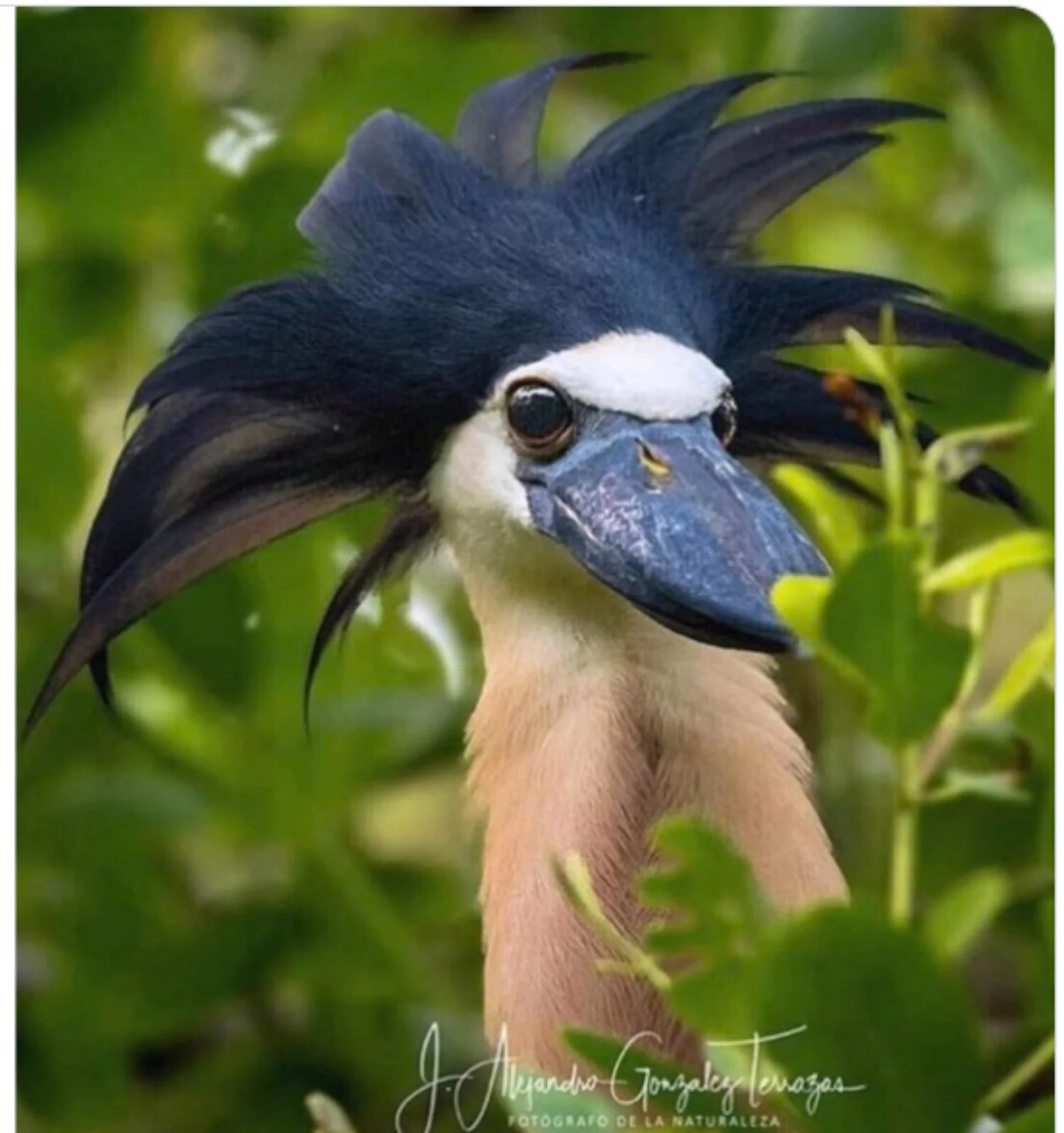 Revision time, people! On your mark, set, go!!!!