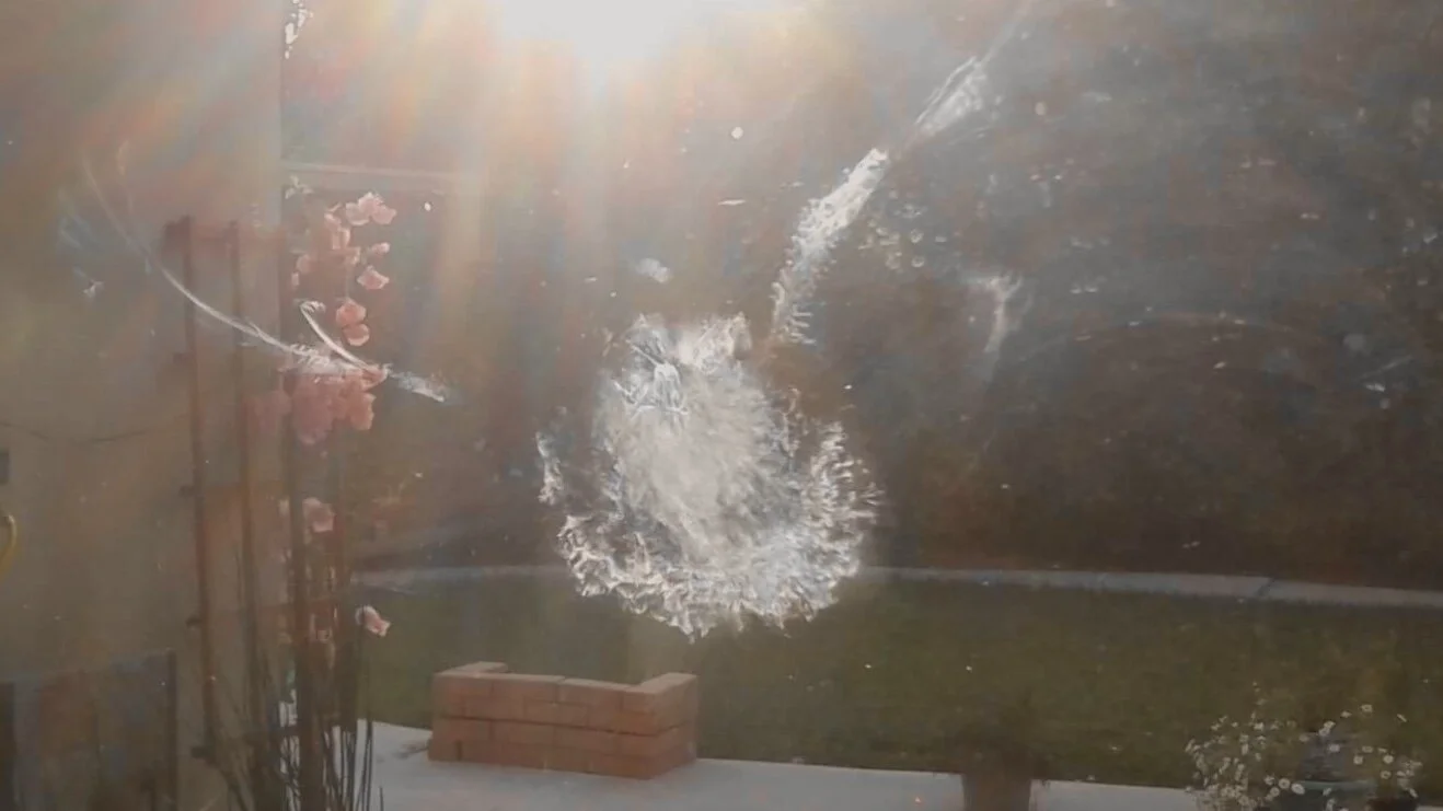 An Imprint of Flight, Wings and Beak—Prompts