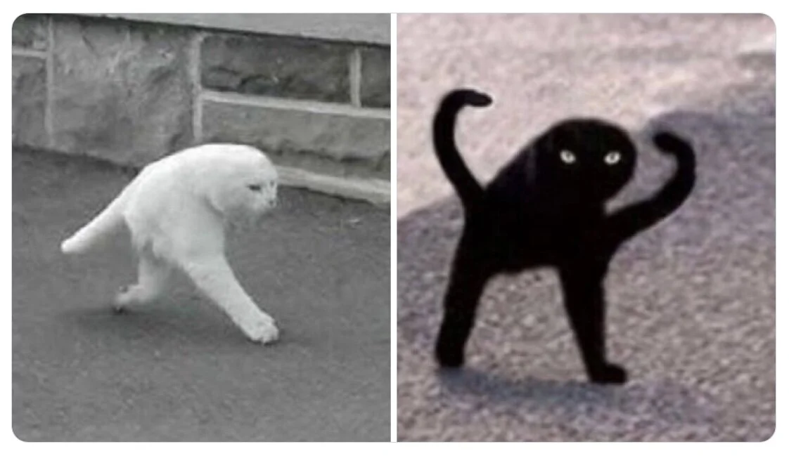 Choose One—A Twitter Prompt