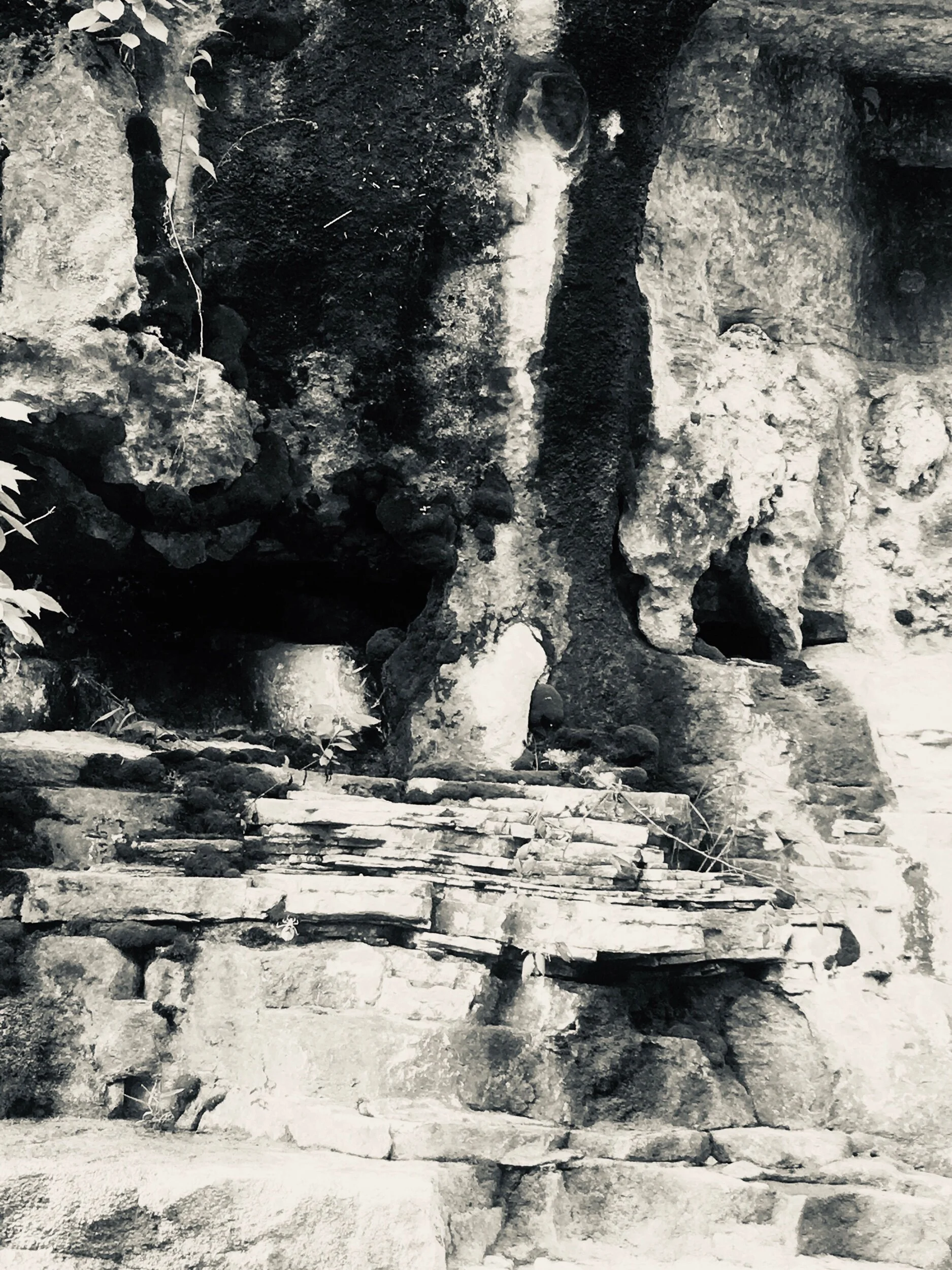 What You Must Do—Prompts Inspired by Li-Young Lee