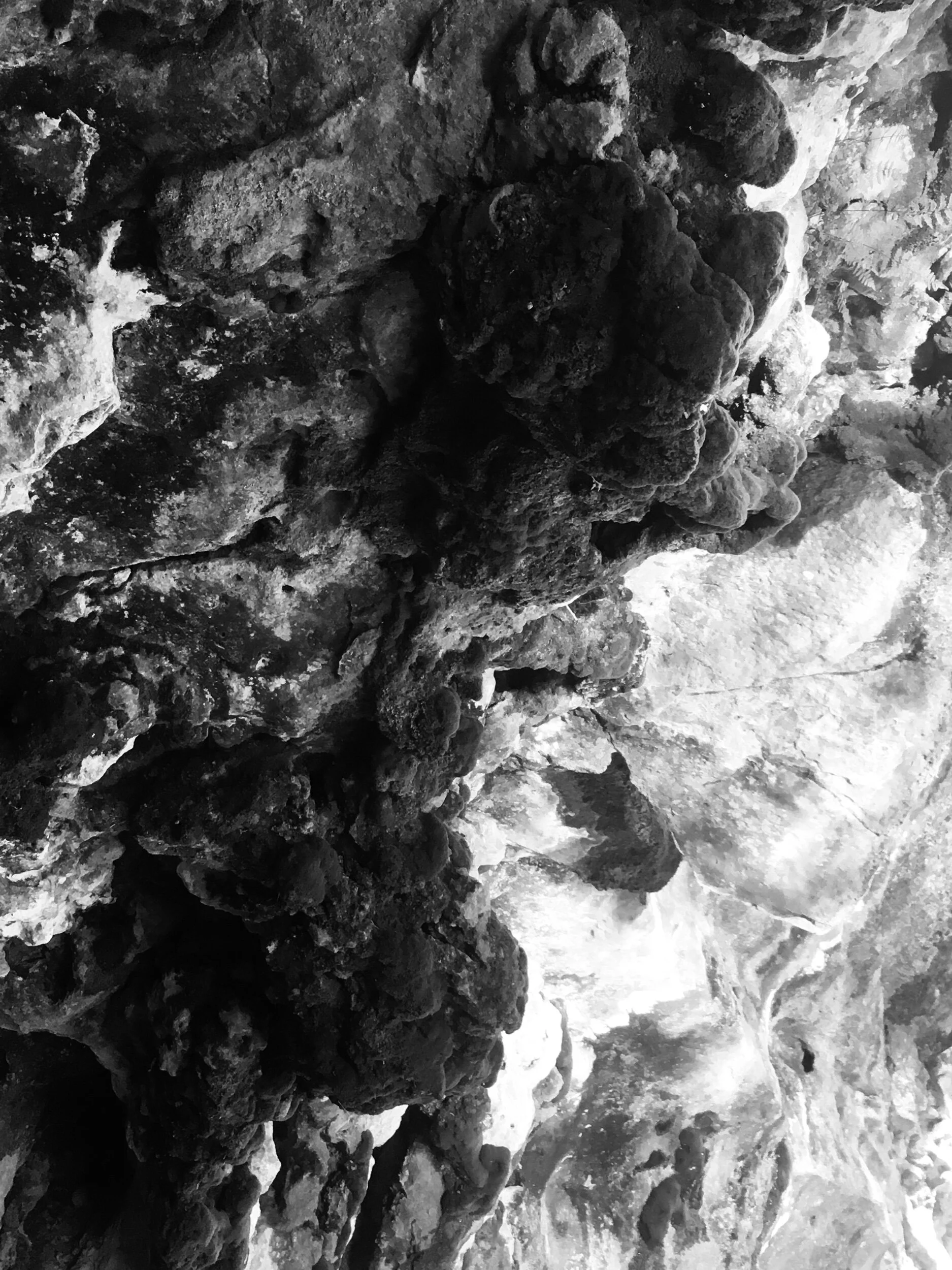 Self-Correction—A Prompt Inspired by Caroline Bird