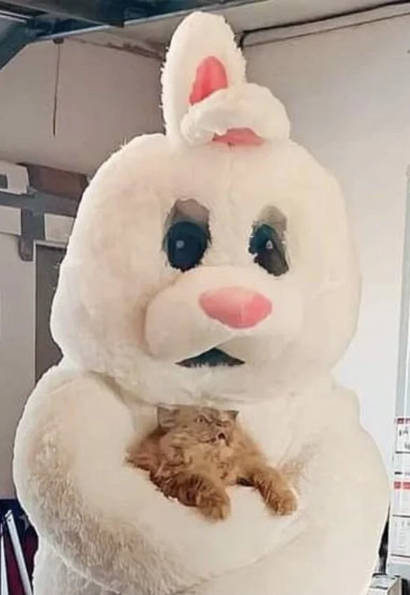 It is the Day of the Bunny—Prompts