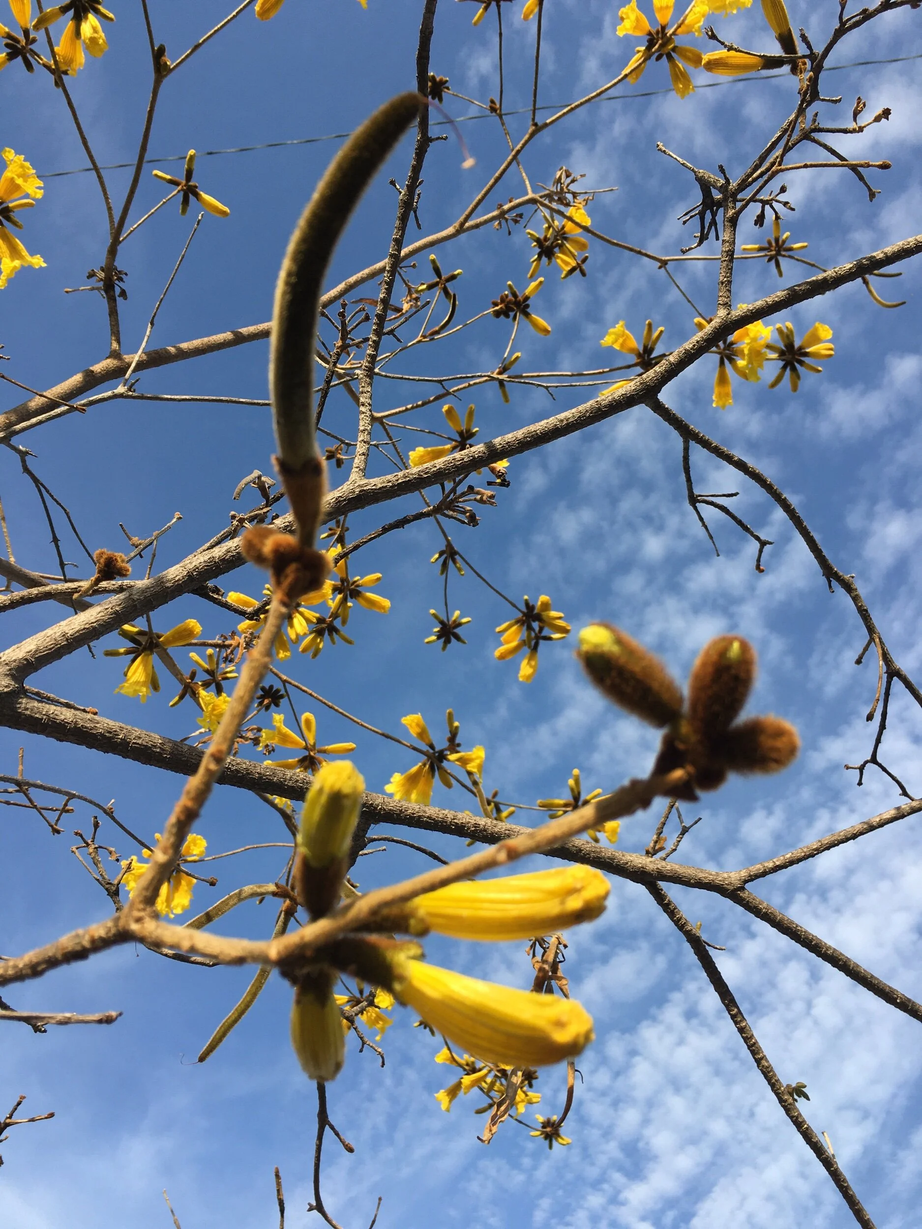 Food and Words to Live Upon—Prompts Inspired by Jacquelyn Bengfort