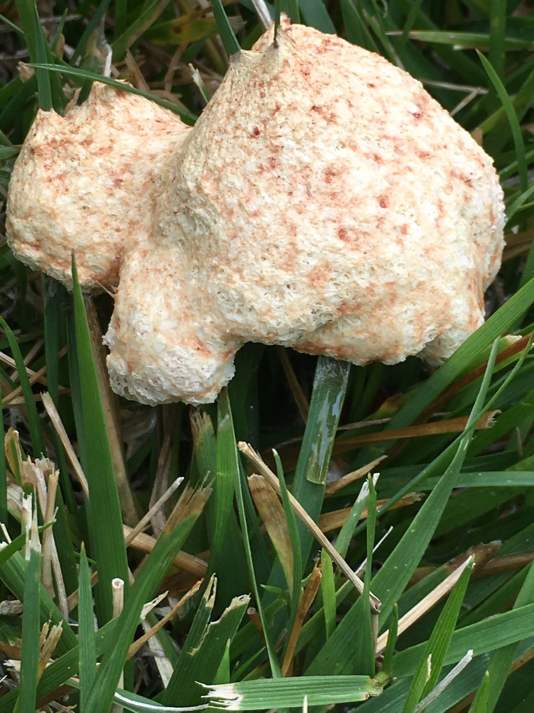 Last Week’s Prompts