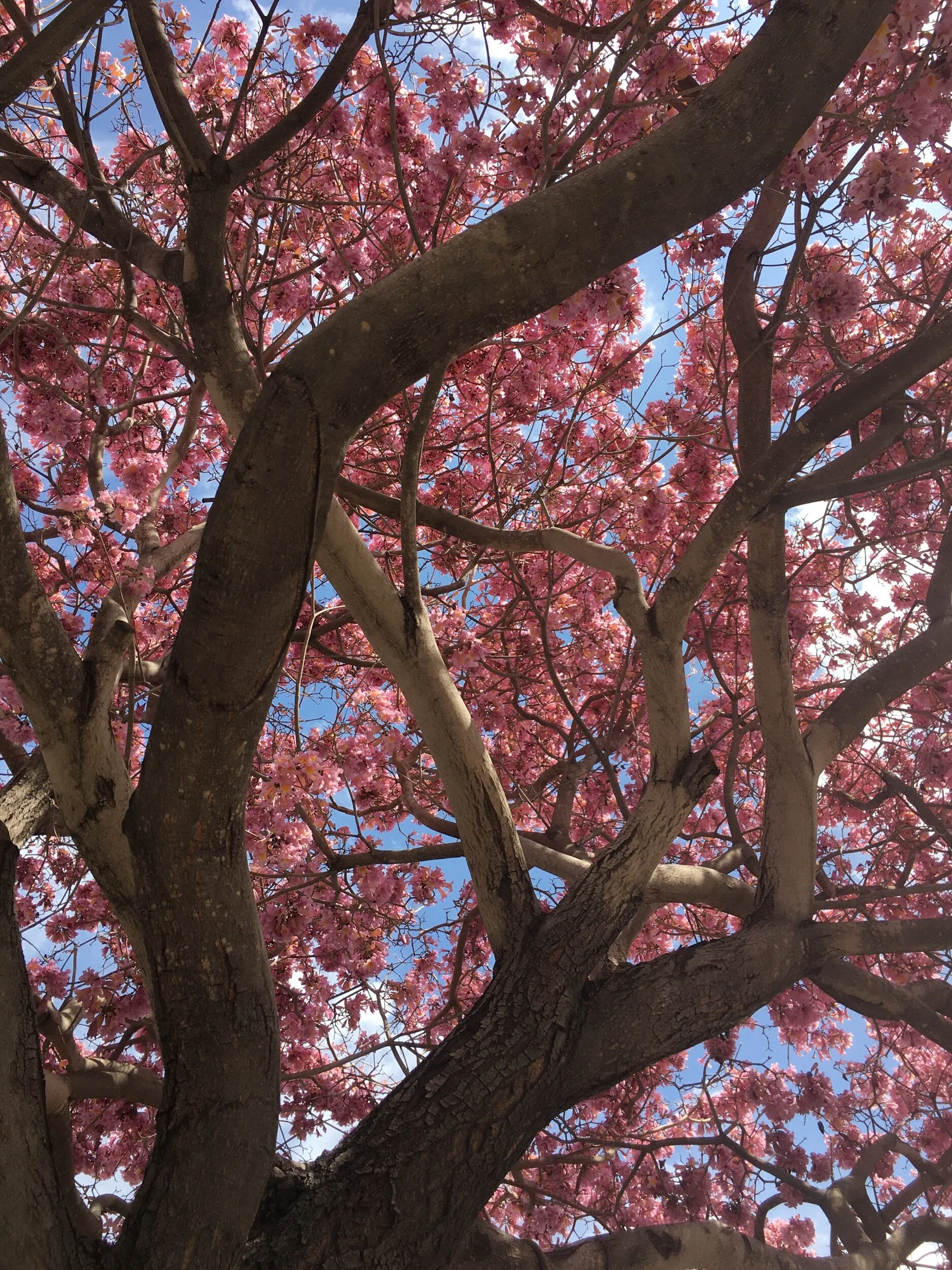Last Day of 30/30–Final Prompt